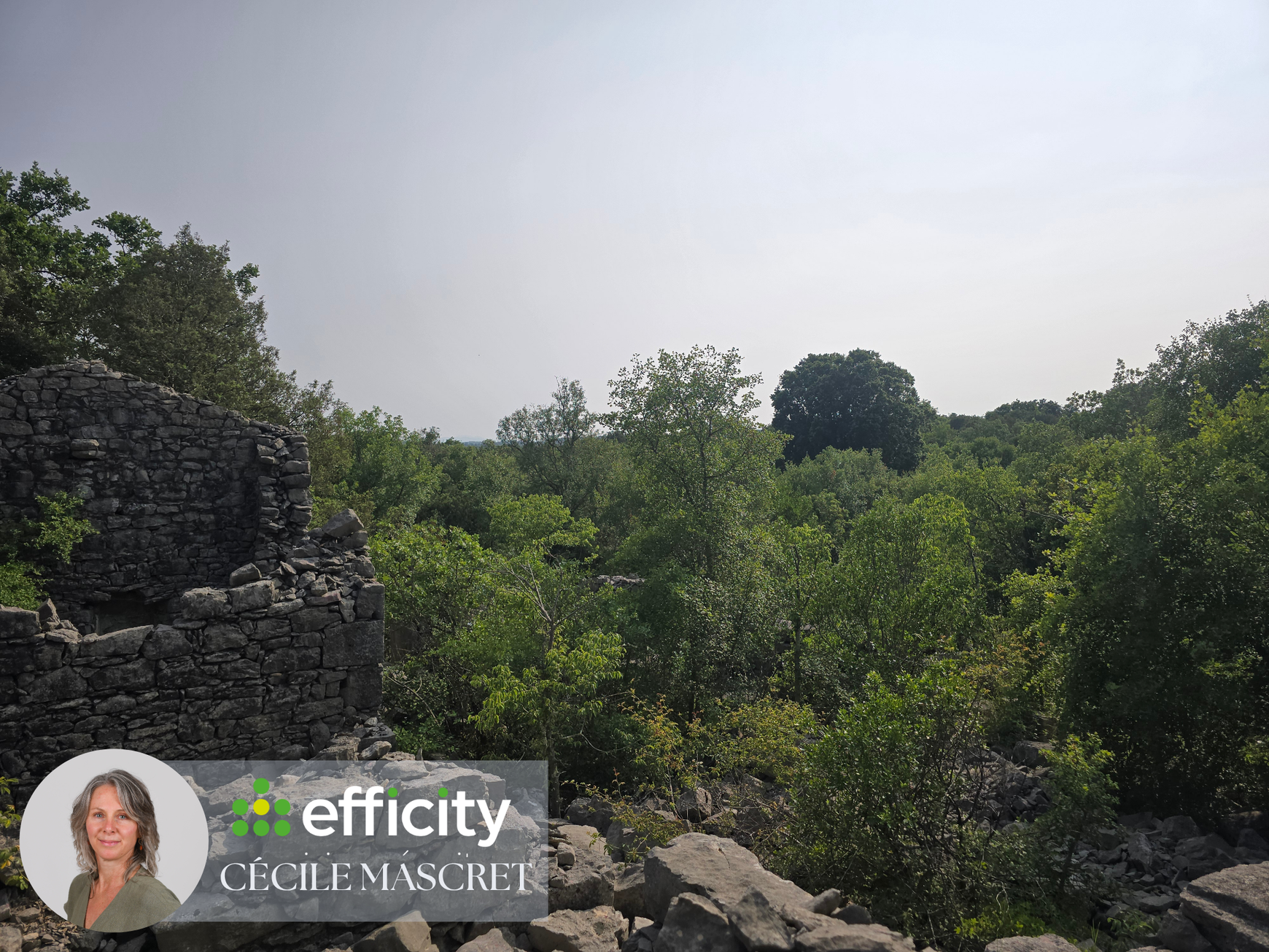 Achat immobilier Terrain   32000m2 à Labeaume (07120) - Photo n°1