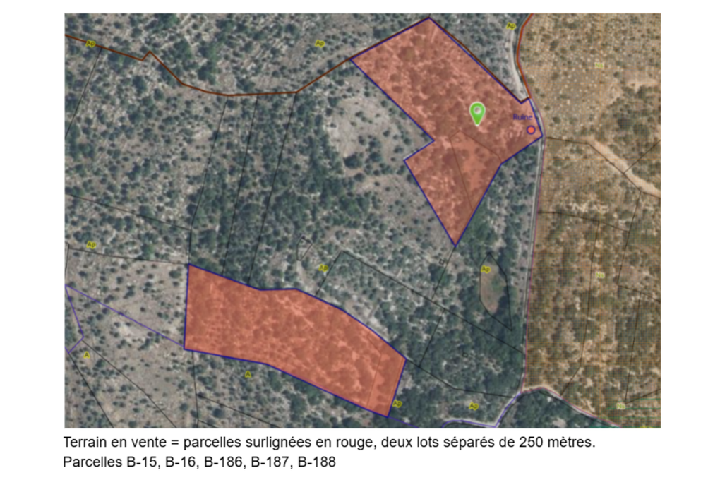 Achat immobilier Terrain   32000m2 à Labeaume (07120) - Photo n°13