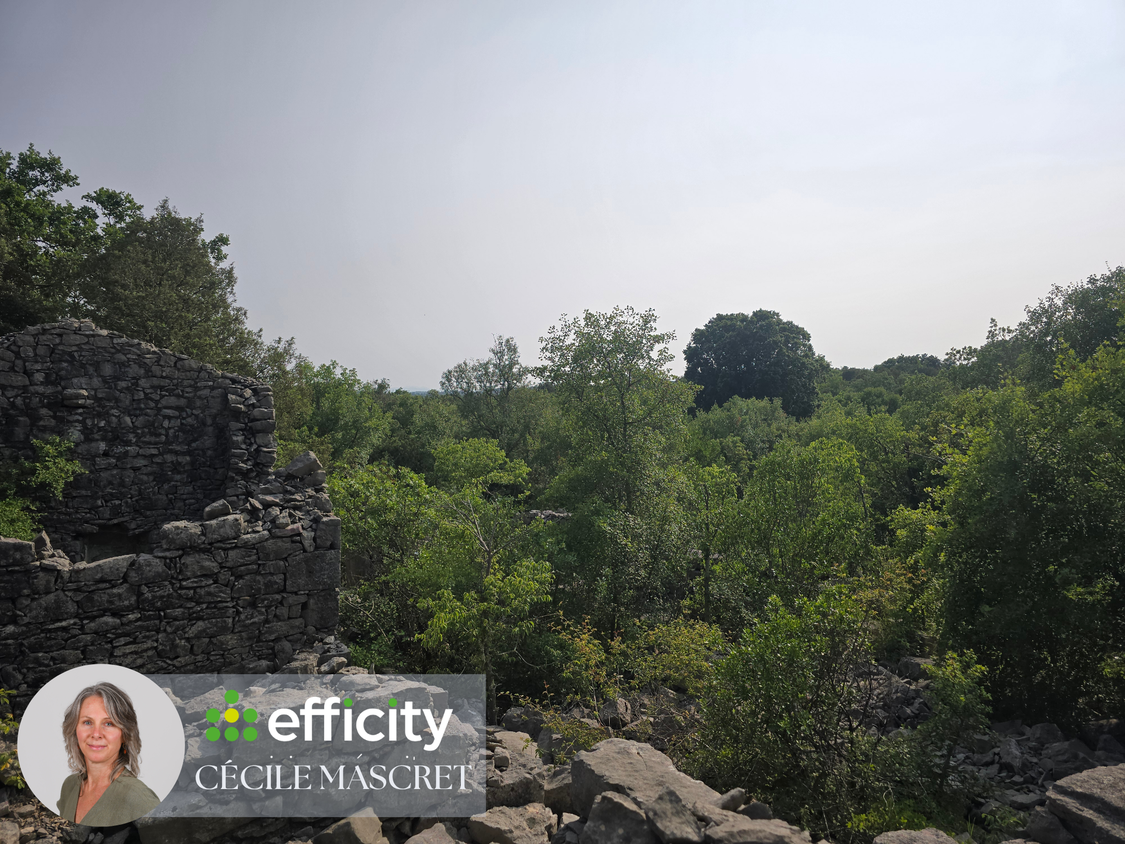 terrain  - 32000m2 à Labeaume (07120)