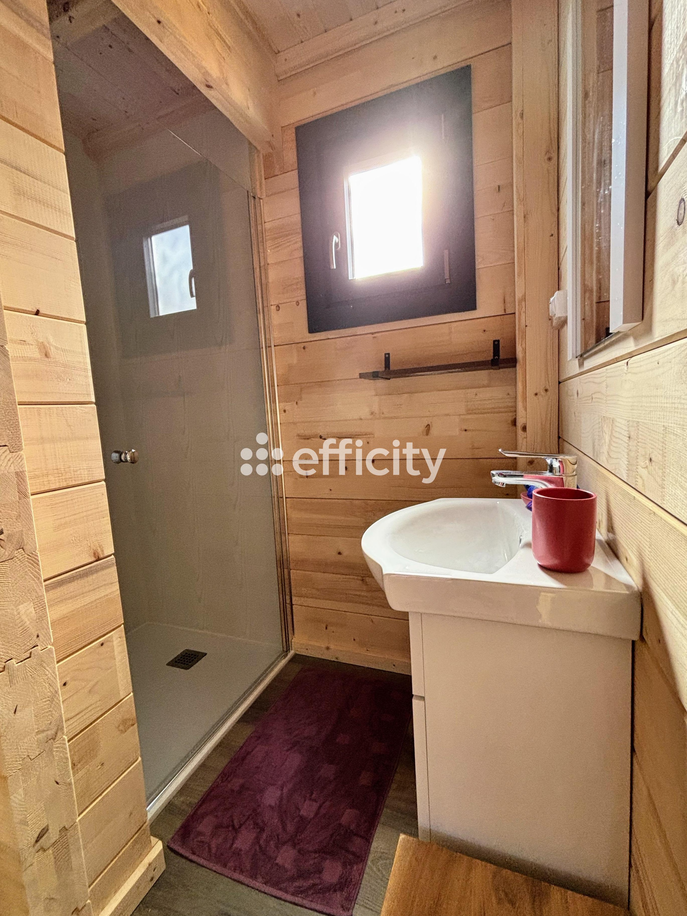 Achat immobilier Maison 4 pièces  50m2 à Saint-Pons (04400) - Photo n°8