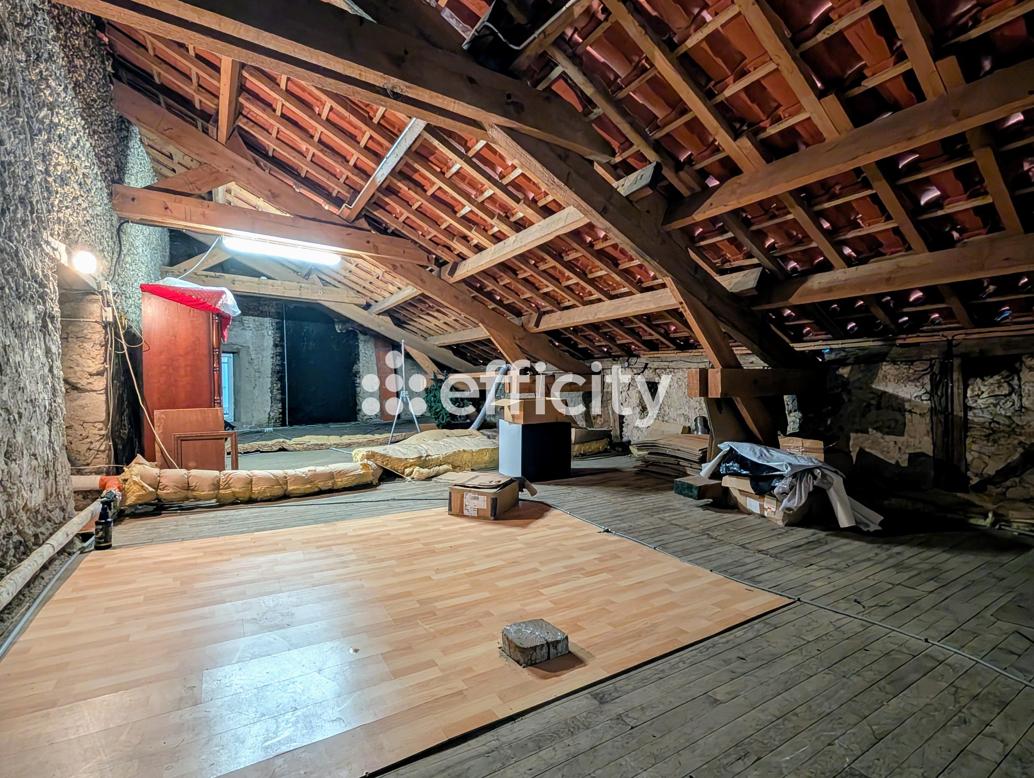 Achat immobilier Maison 8 pièces  175m2 à Saint-Léon-sur-l'Isle (24110) - Photo n°15