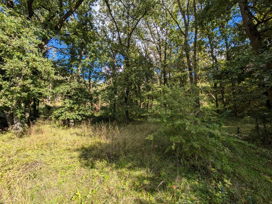 terrain  - 1500m2 à Écully (69130)