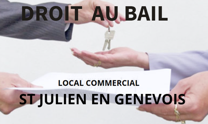 fonds de commerce  - 90m2 à Saint-Julien-en-Genevois (74160)