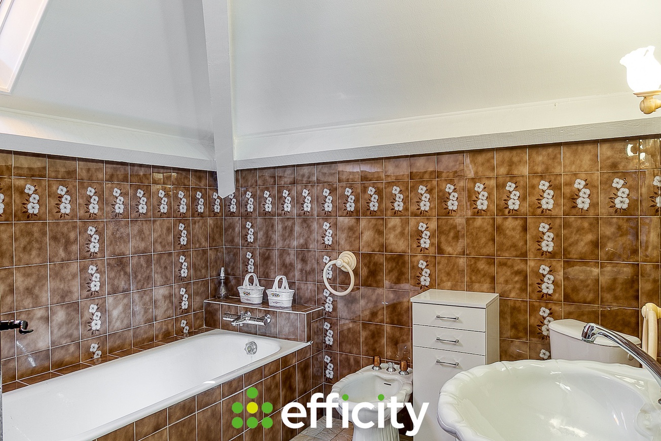 Achat immobilier Maison 7 pièces  175m2 à Nivolas-Vermelle (38300) - Photo n°11