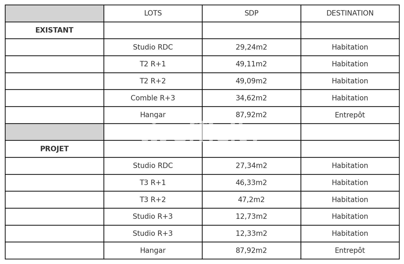 Achat immobilier Immeuble 6 pièces  162m2 à Lille (59000) - Photo n°18