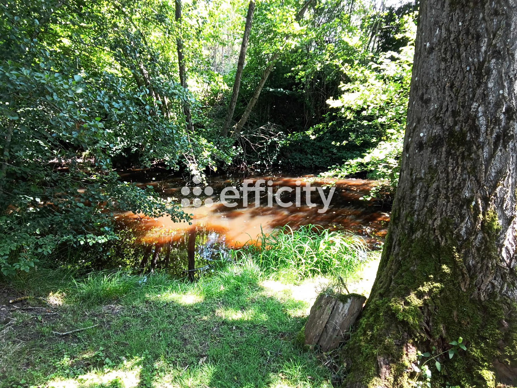 Achat immobilier Maison 6 pièces  187m2 à Toulon-sur-Arroux (71320) - Photo n°20