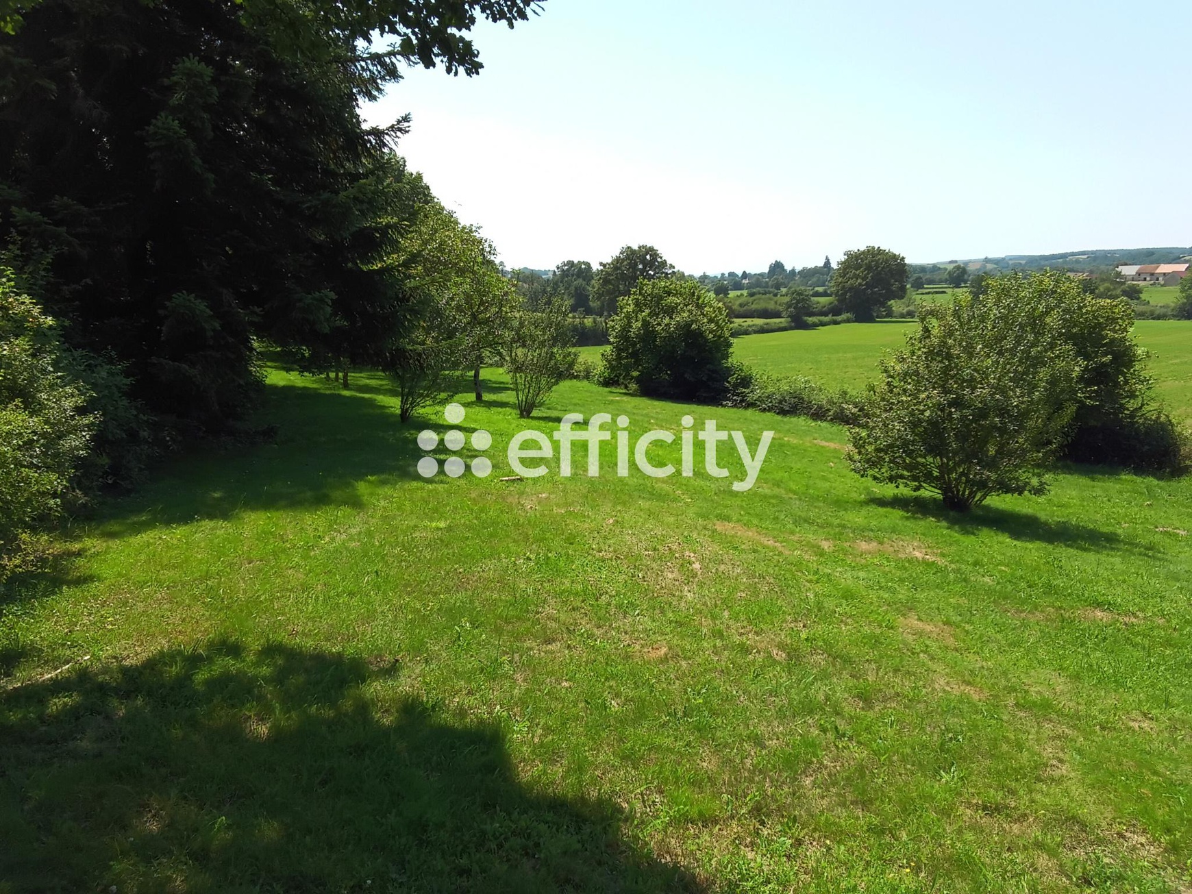 Achat immobilier Maison 6 pièces  187m2 à Toulon-sur-Arroux (71320) - Photo n°19