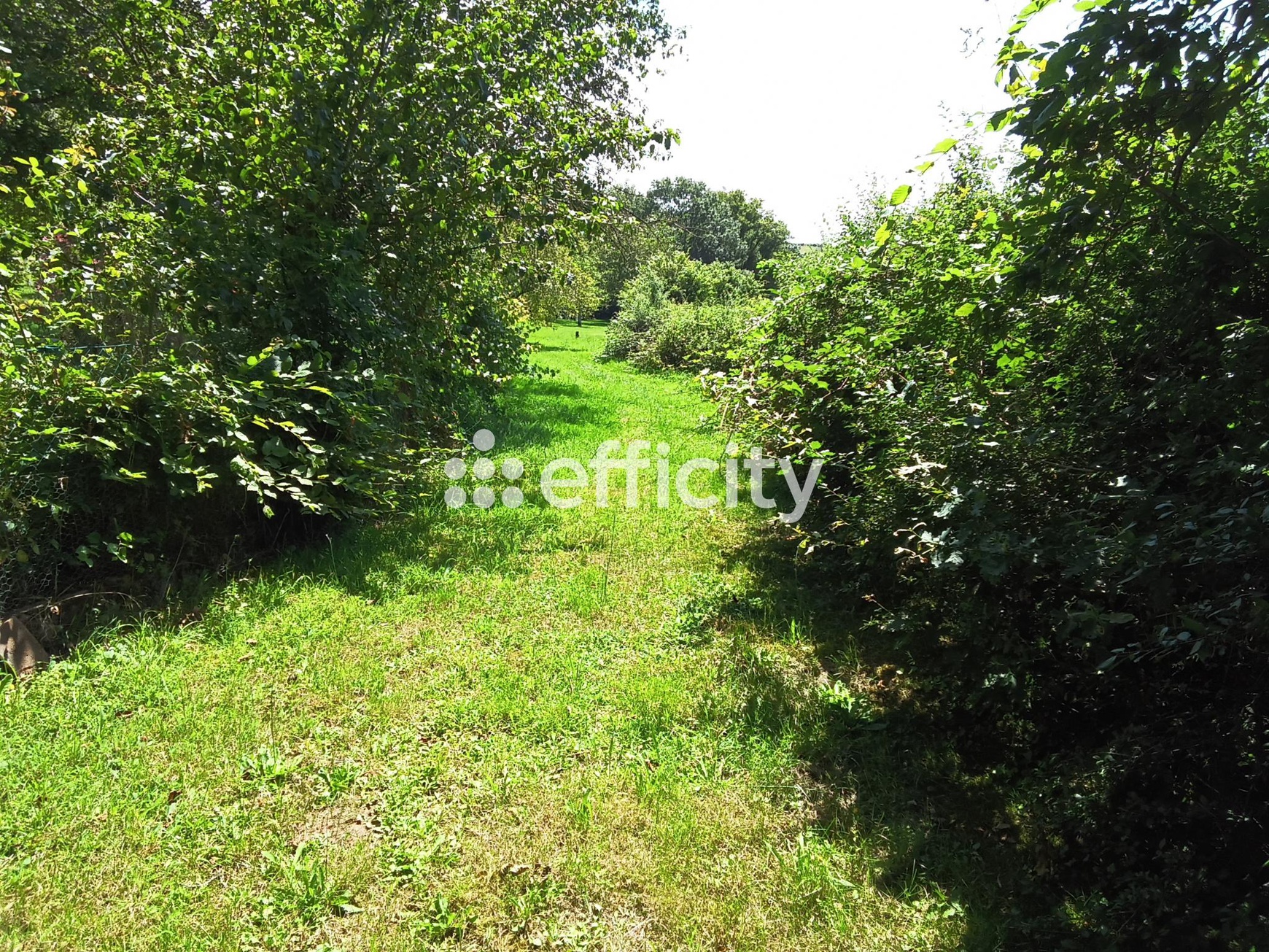 Achat immobilier Maison 6 pièces  187m2 à Toulon-sur-Arroux (71320) - Photo n°21