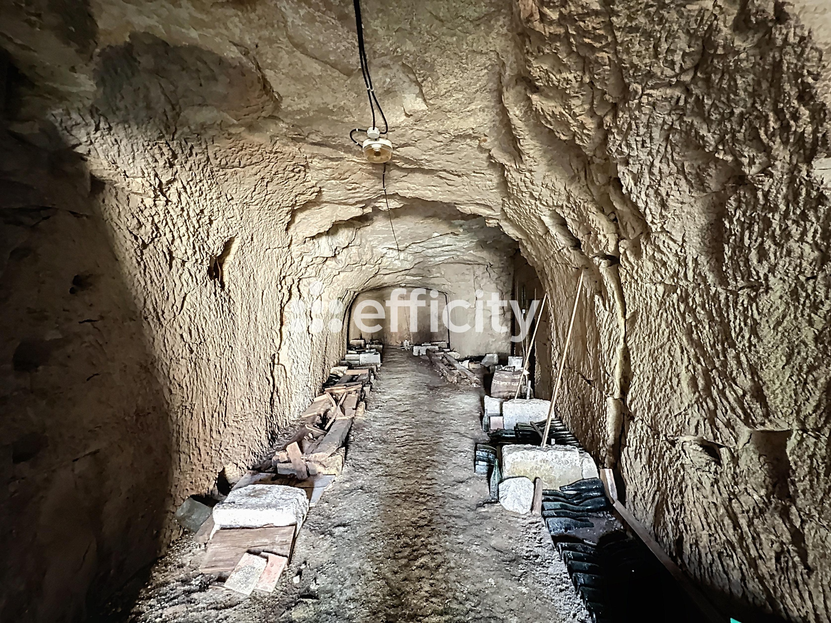 Achat immobilier Maison 2 pièces  85m2 à Bellevigne-les-Châteaux (49260) - Photo n°15