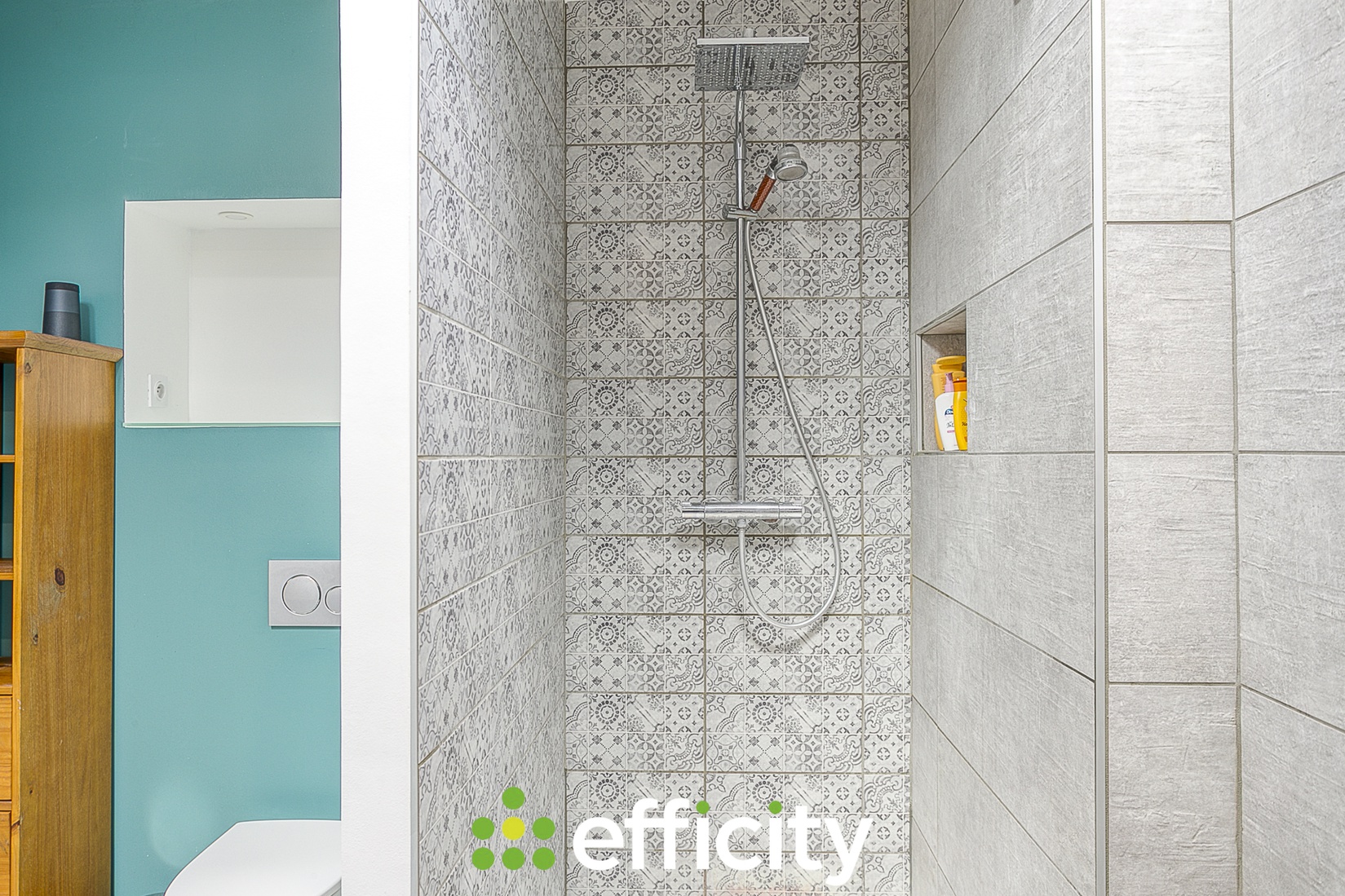 Achat immobilier Appartement 5 pièces  145m2 à Saint-Symphorien-d'Ozon (69360) - Photo n°11