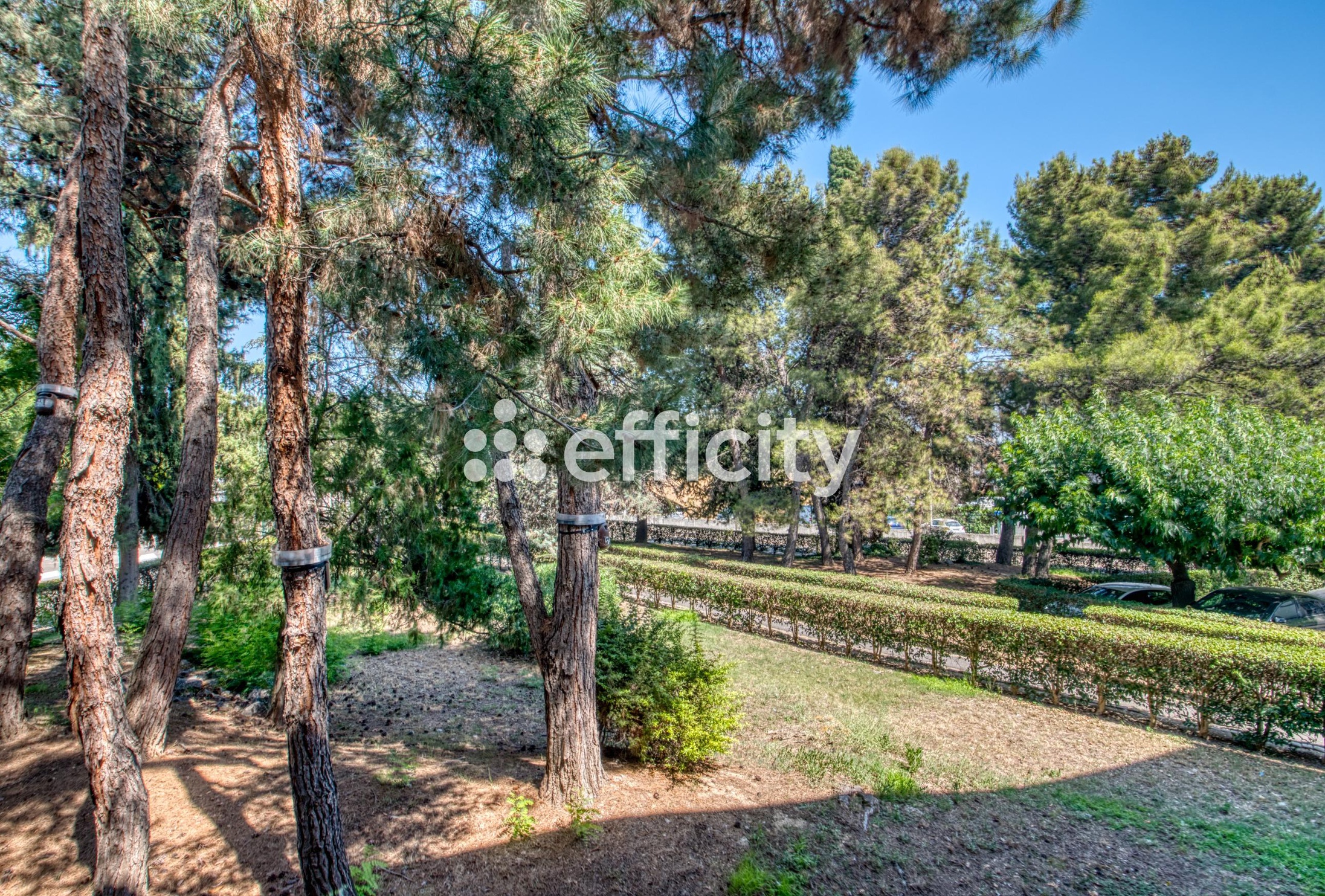 Achat immobilier Appartement 3 pièces  60m2 à Marseille (13012) - Photo n°1