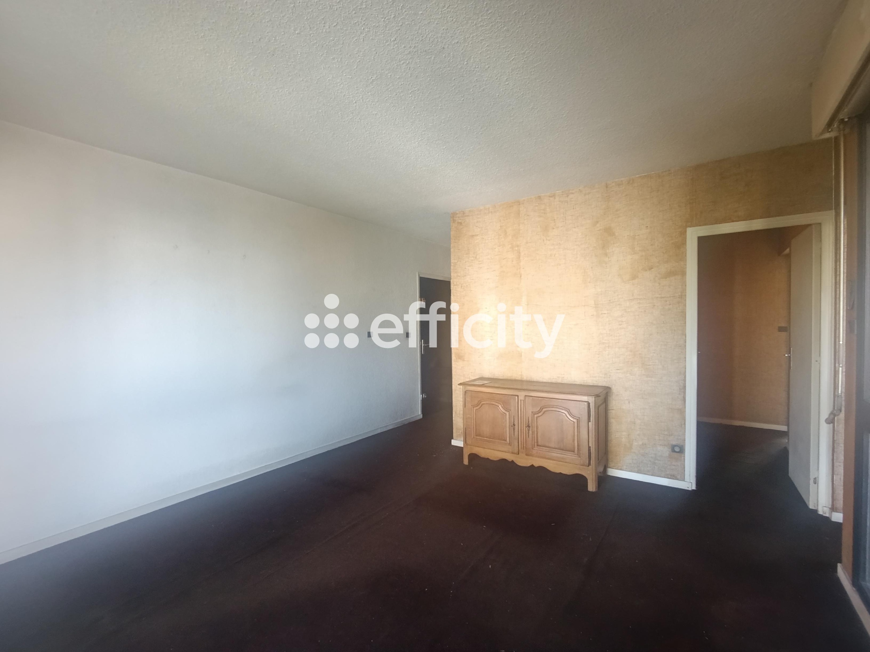 Achat immobilier Appartement 2 pièces  43m2 à Grenoble (38100) - Photo n°4