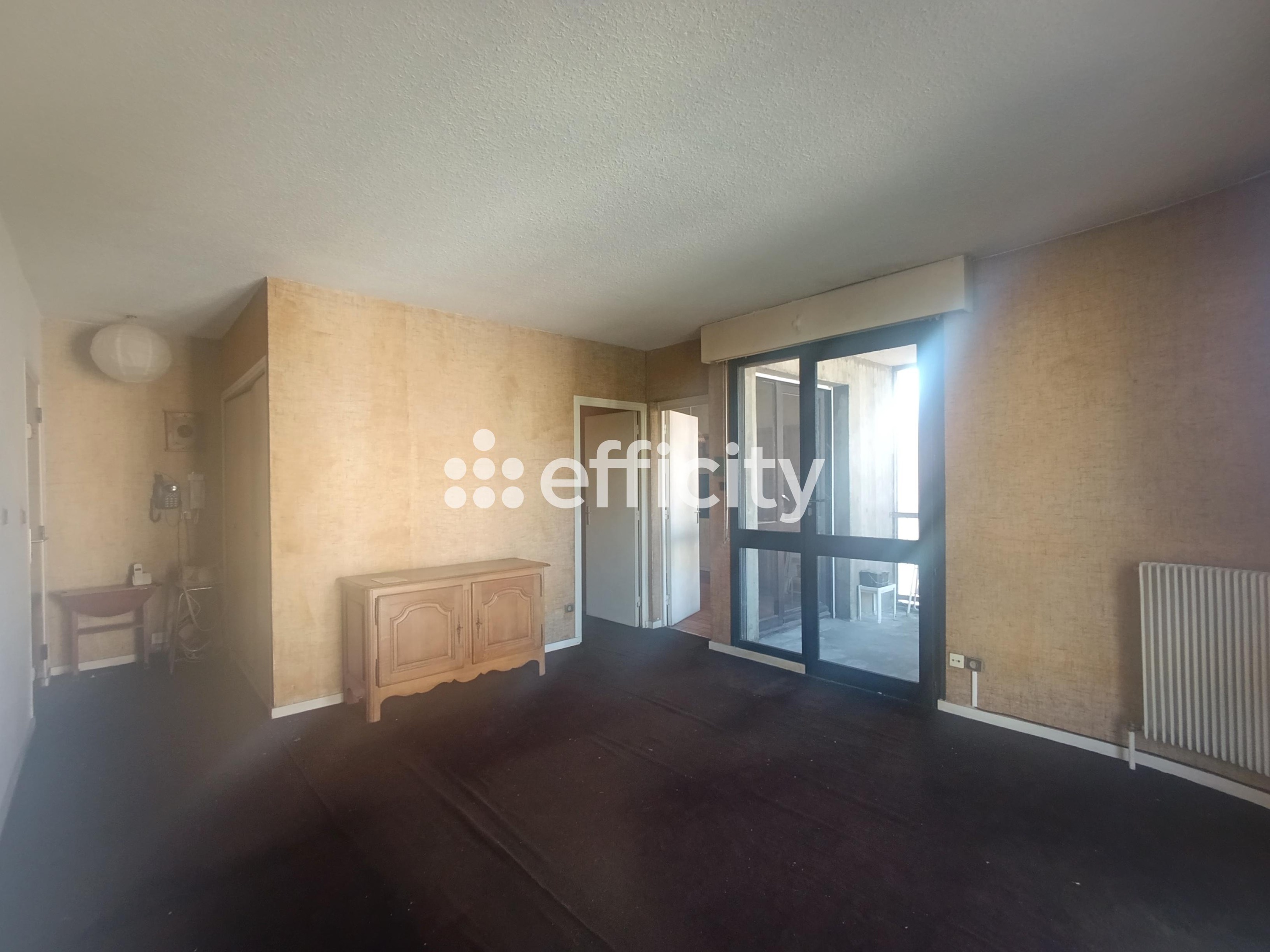 Achat immobilier Appartement 2 pièces  43m2 à Grenoble (38100) - Photo n°5