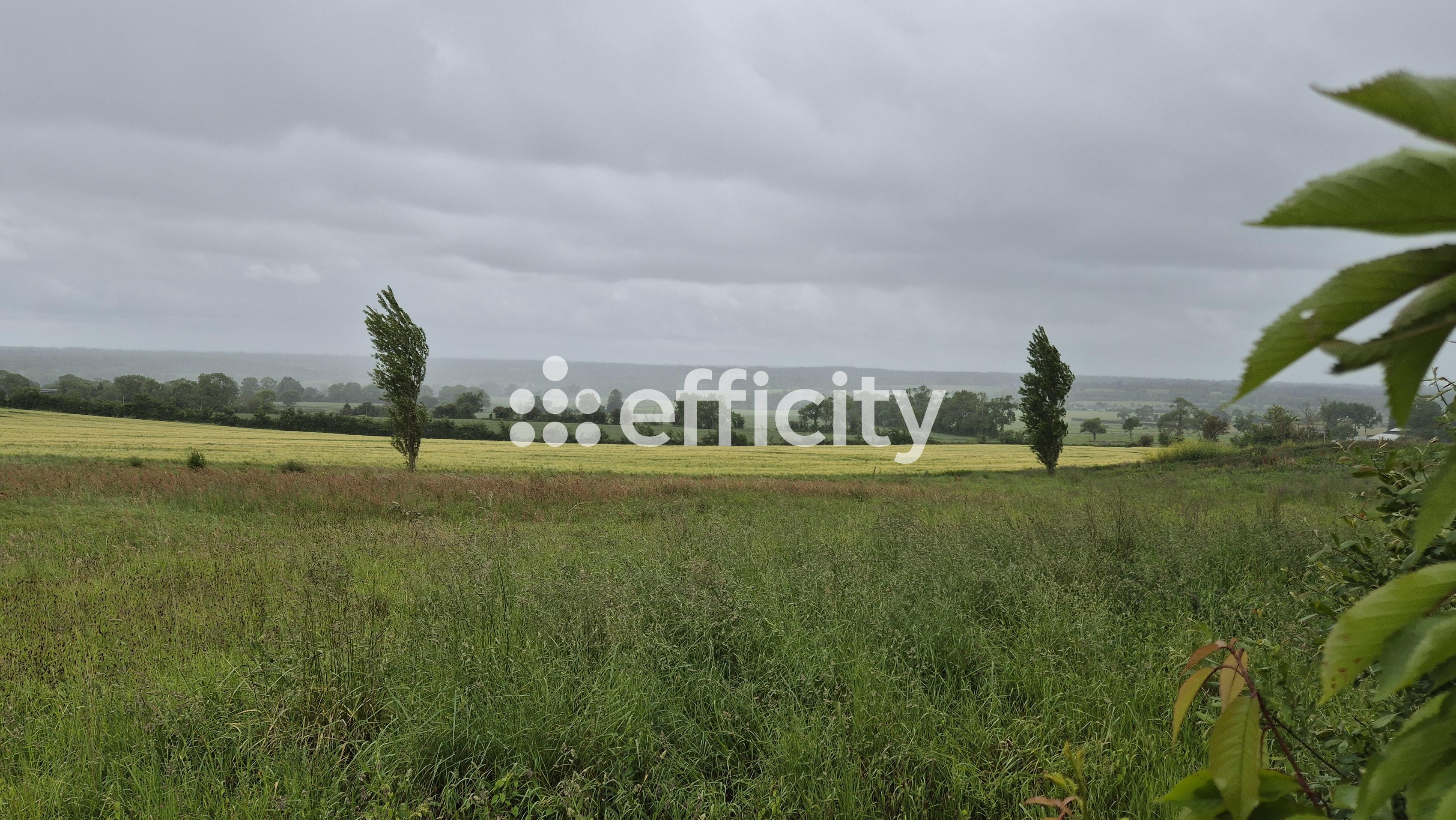 Achat immobilier Terrain   1285m2 à Aure sur Mer (14520) - Photo n°1