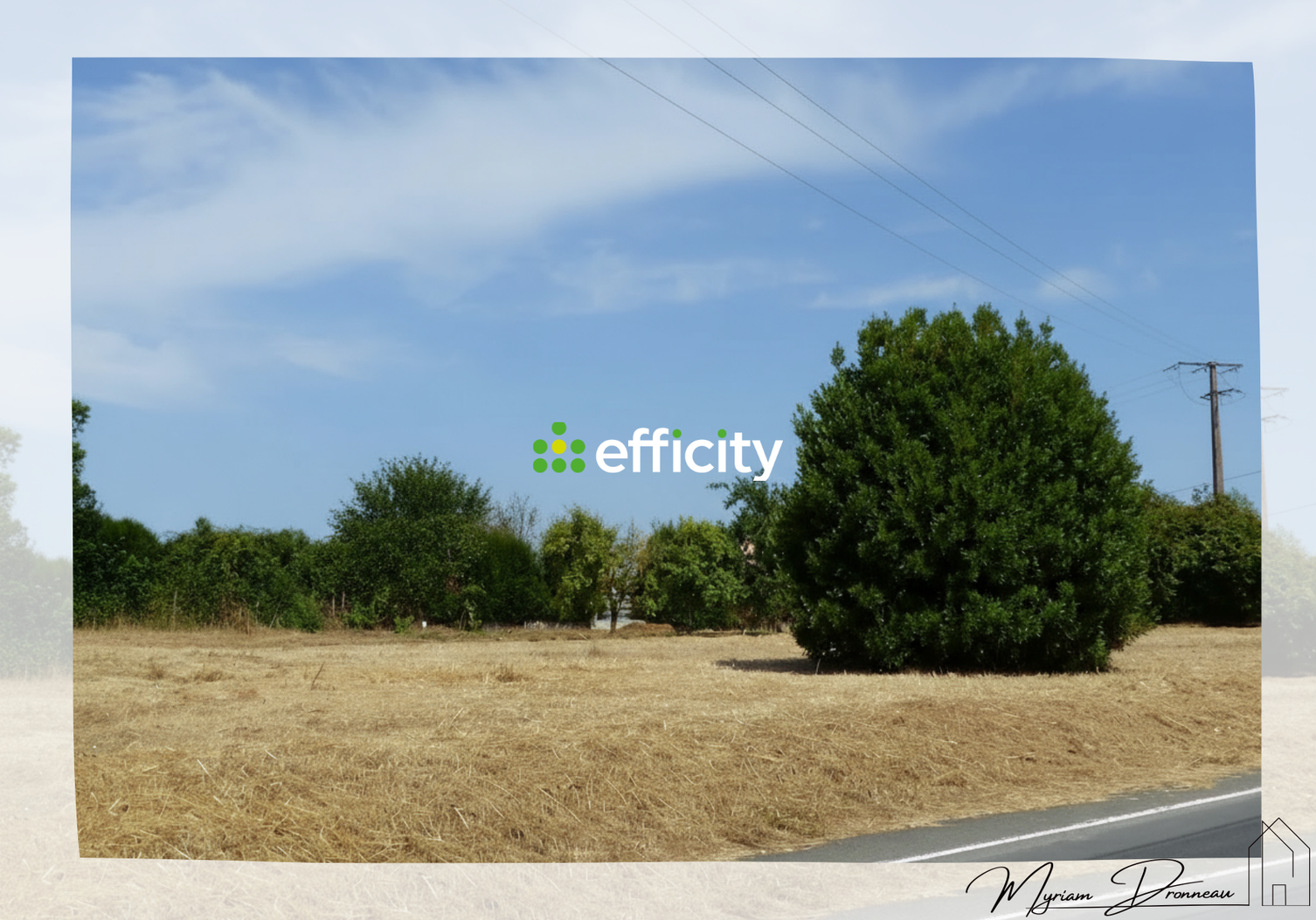 Achat immobilier Terrain   1070m2 à Sèvremoine (49230) - Photo n°1