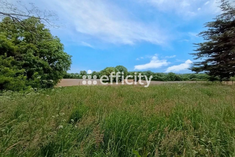 Achat immobilier Maison 5 pièces  95m2 à Mauves-sur-Loire (44470) - Photo n°4