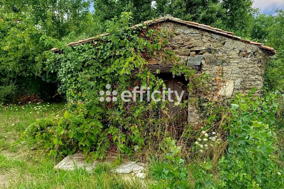 Achat immobilier Maison 5 pièces  95m2 à Mauves-sur-Loire (44470) - Photo n°1