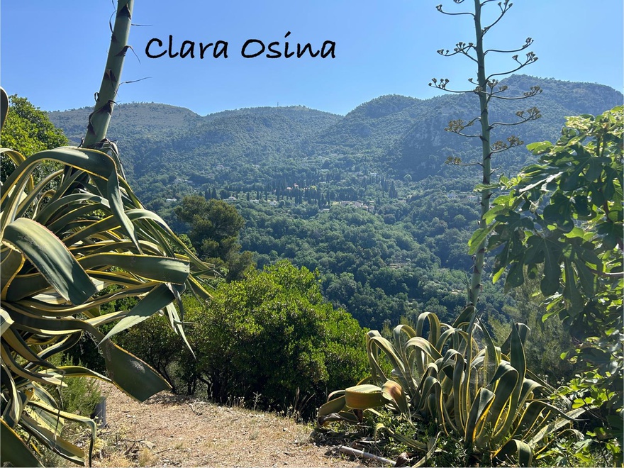 terrain  - 1403m2 à Castagniers (06670)