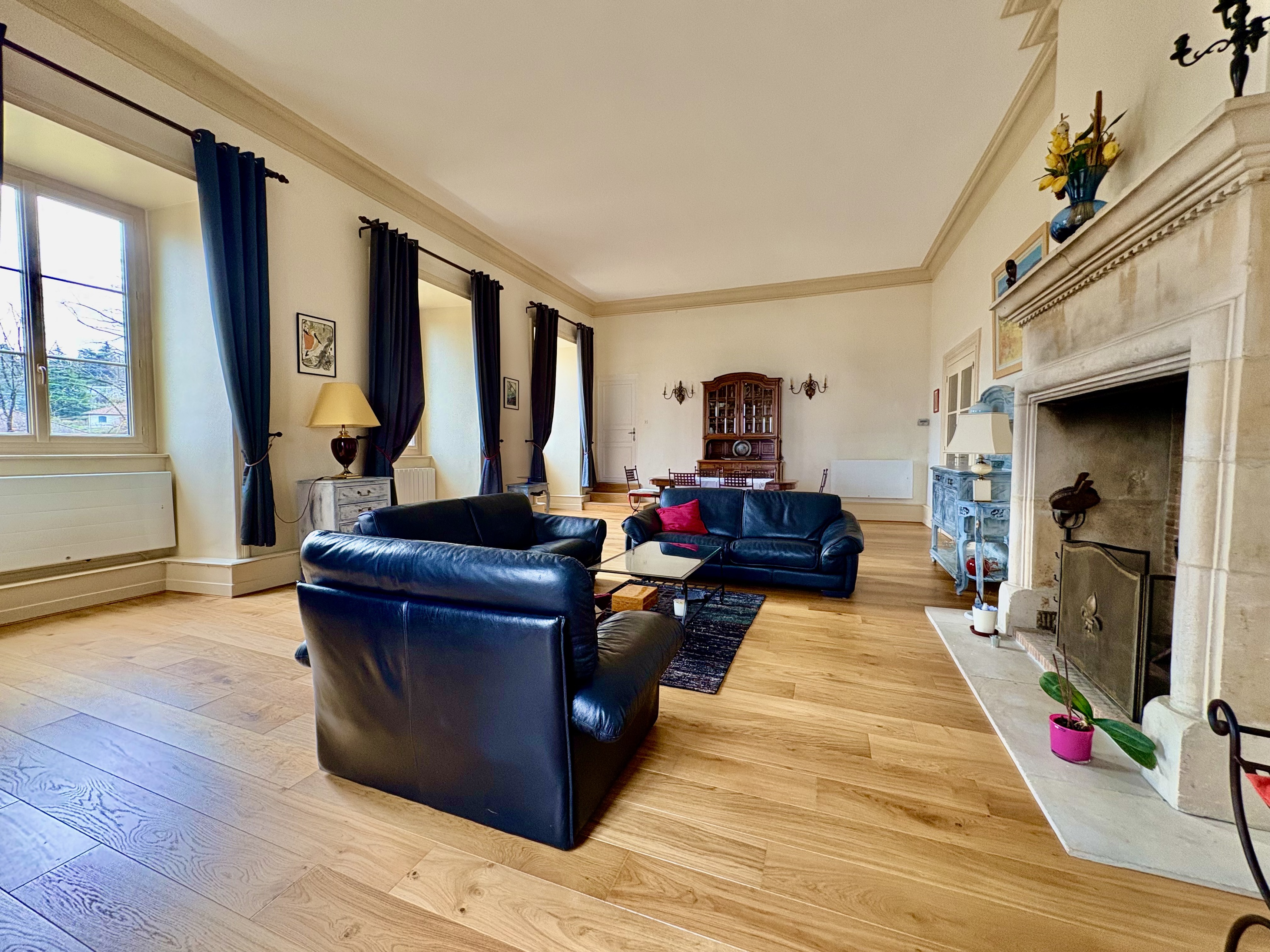 Achat immobilier Appartement 6 pièces  220m2 à Domarin (38300) - Photo n°10