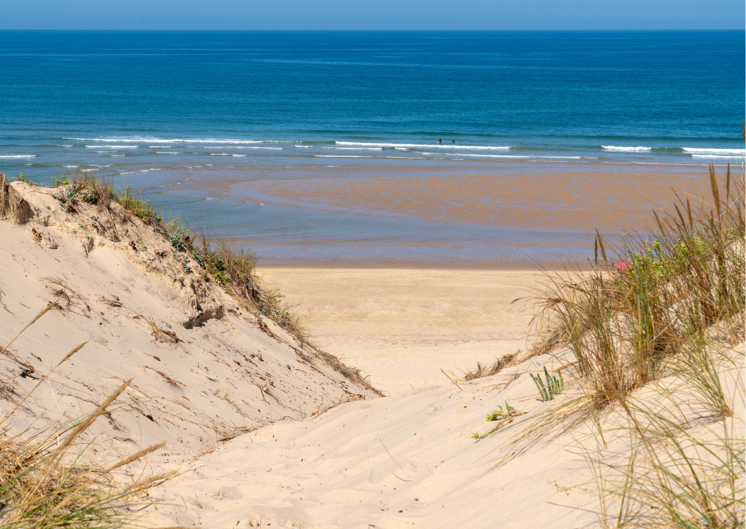 Achat immobilier Fonds de commerce   100m2 à Lacanau (33680) - Photo n°1