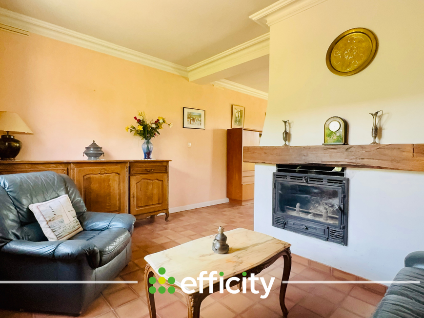 Achat immobilier Maison 6 pièces  124m2 à Chasse-sur-Rhône (38670) - Photo n°9