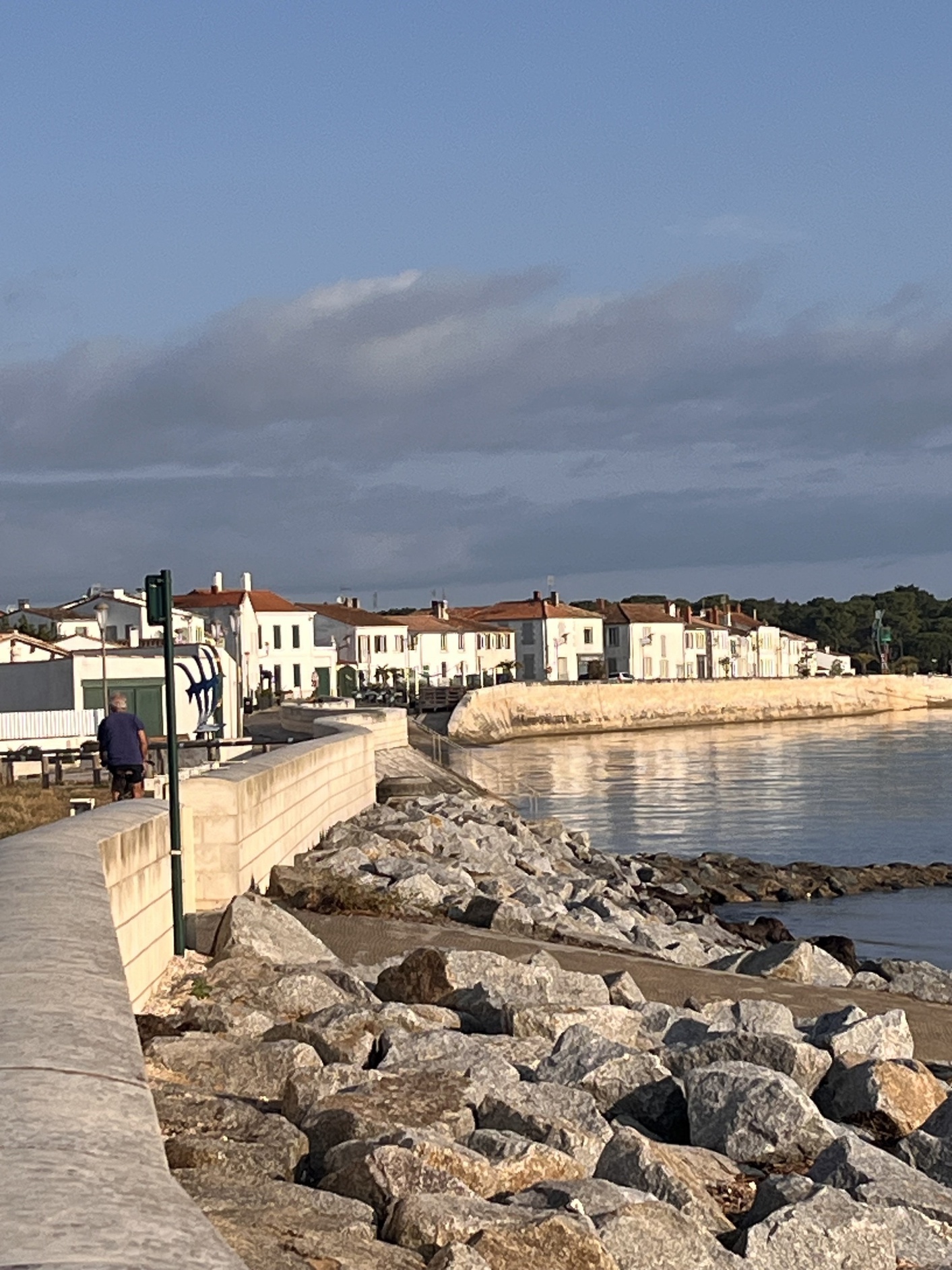 maison 4 pièces - 108m2 à Rivedoux-Plage (17940)