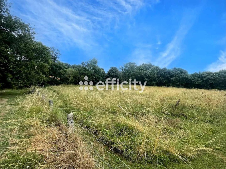 terrain  - 3000m2 à Gageac-et-Rouillac (24240)