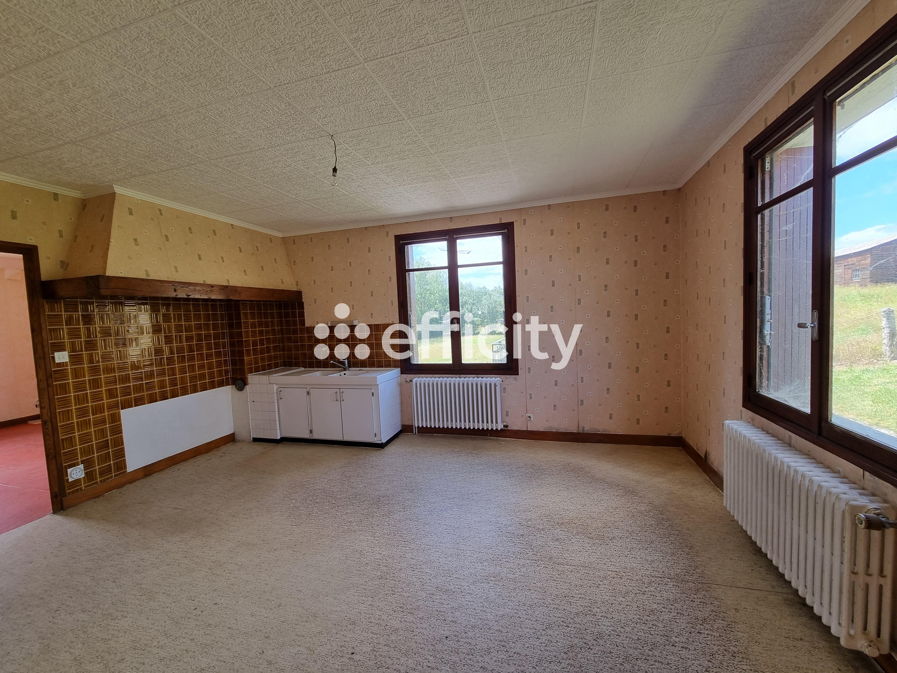 Achat immobilier Maison 15 pièces  350m2 à Le Malzieu-Ville (48140) - Photo n°35
