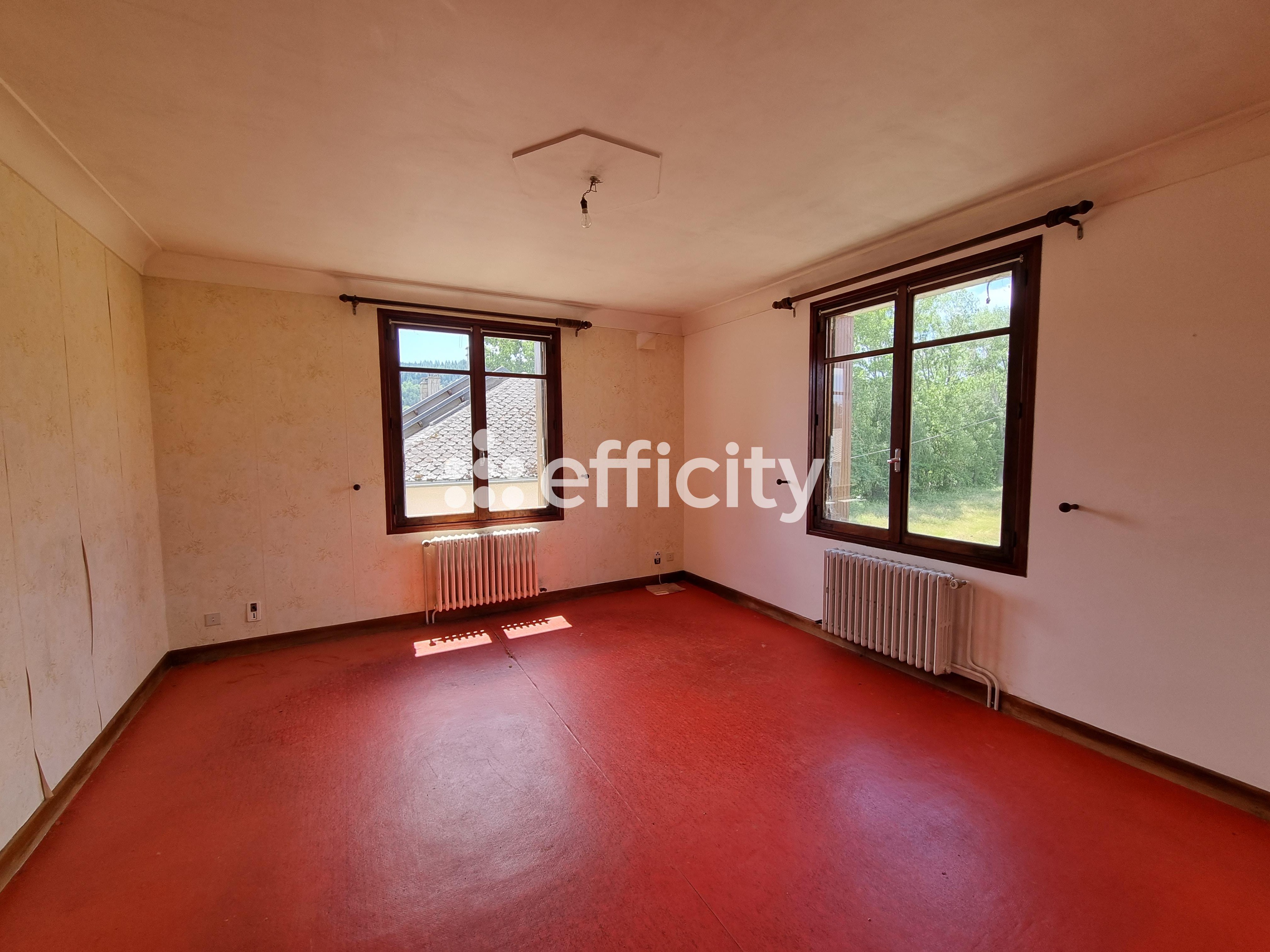 Achat immobilier Maison 15 pièces  350m2 à Le Malzieu-Ville (48140) - Photo n°36