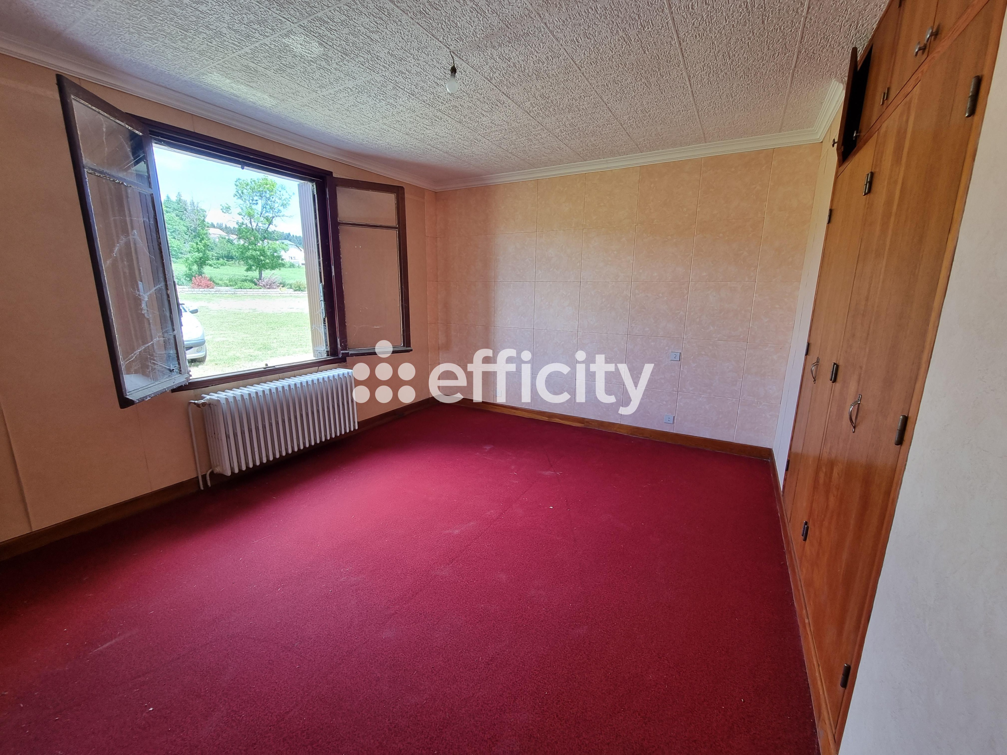Achat immobilier Maison 15 pièces  350m2 à Le Malzieu-Ville (48140) - Photo n°37