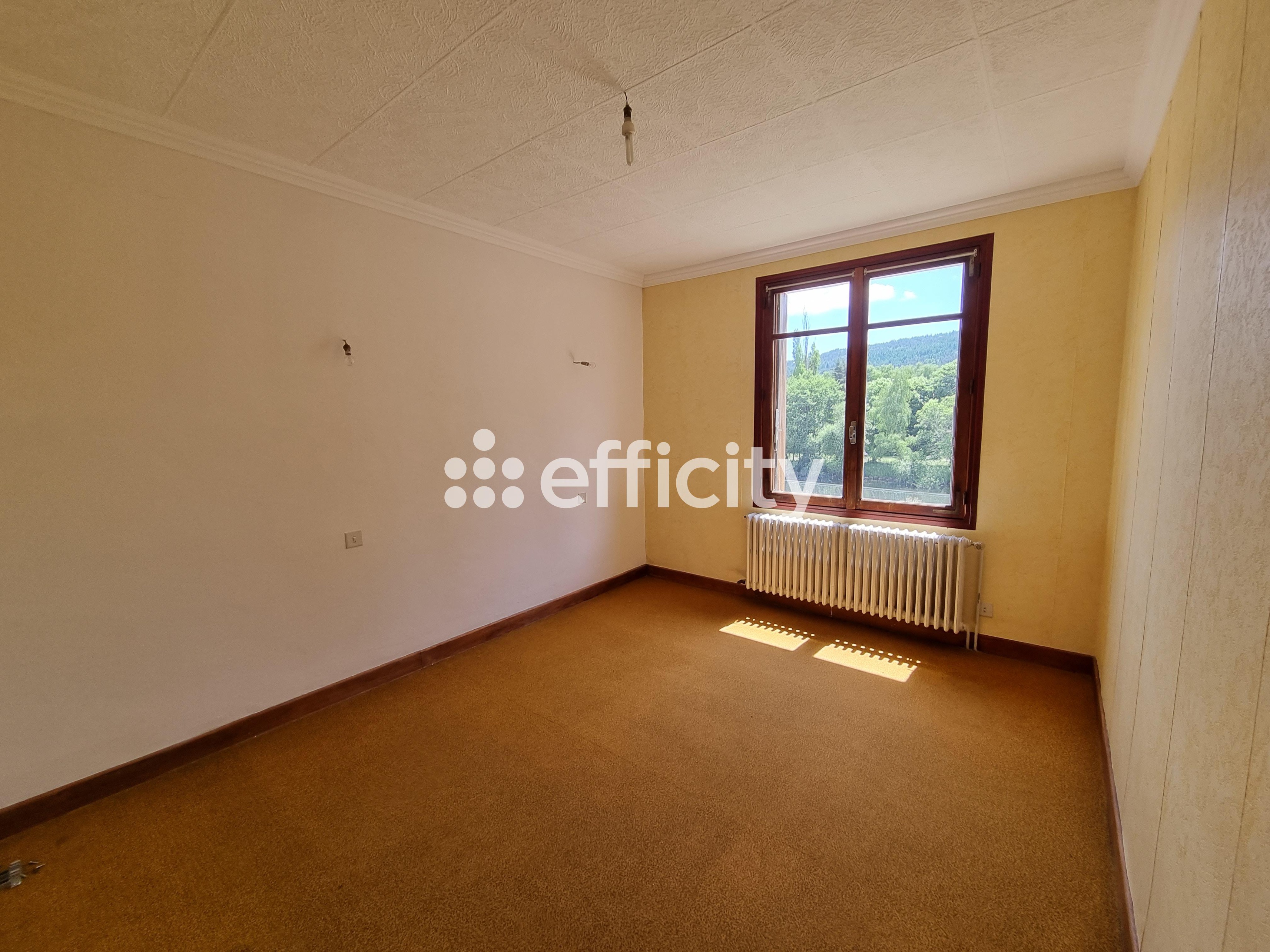 Achat immobilier Maison 15 pièces  350m2 à Le Malzieu-Ville (48140) - Photo n°38