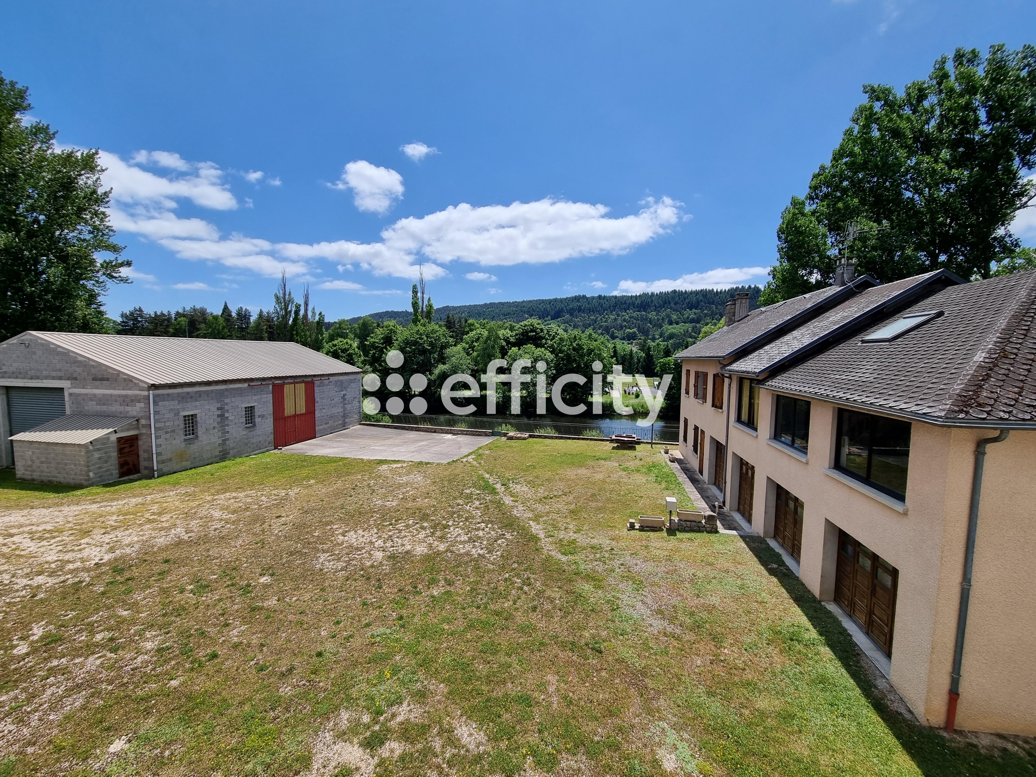 Achat immobilier Maison 15 pièces  350m2 à Le Malzieu-Ville (48140) - Photo n°5