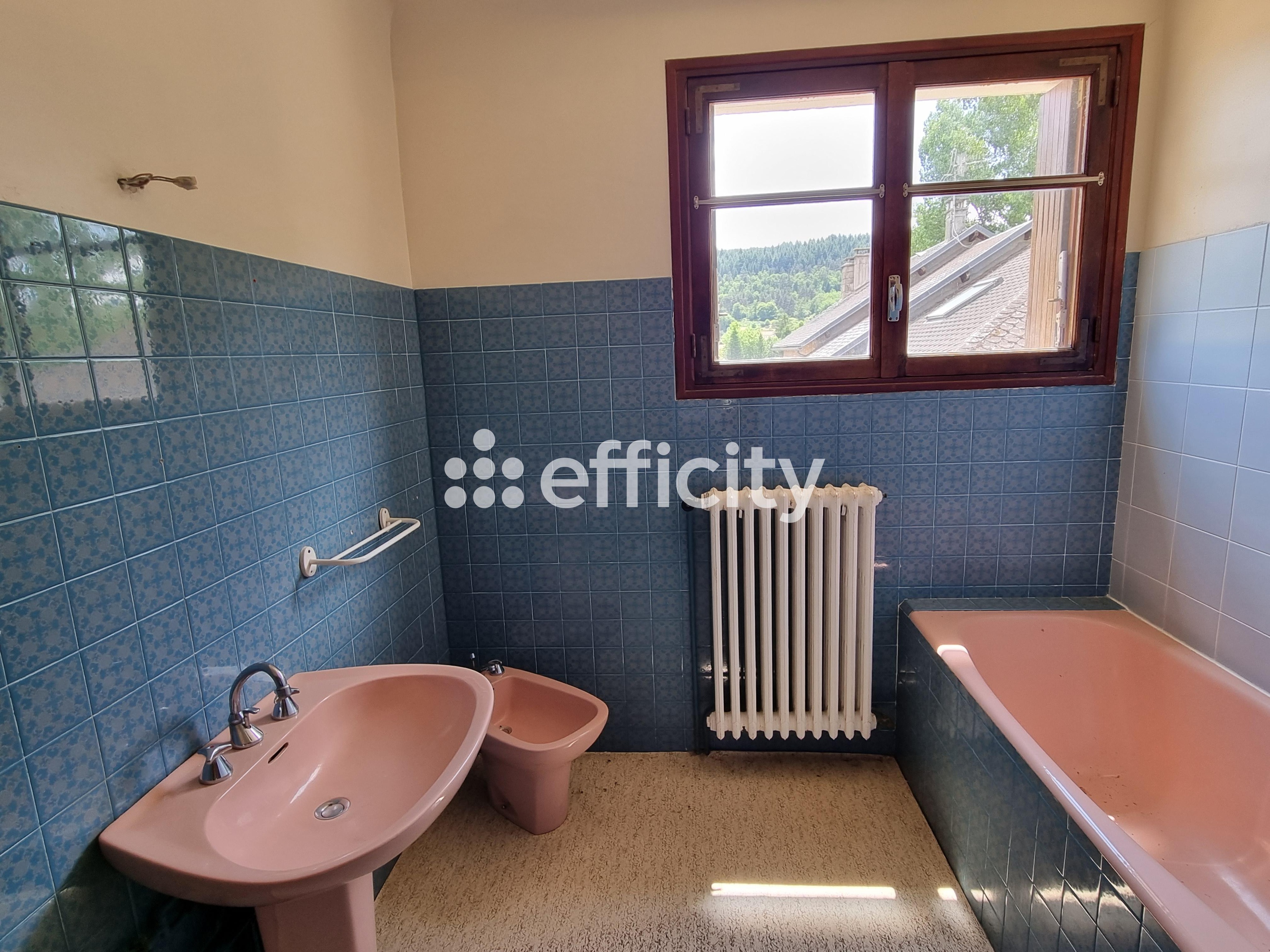 Achat immobilier Maison 15 pièces  350m2 à Le Malzieu-Ville (48140) - Photo n°40