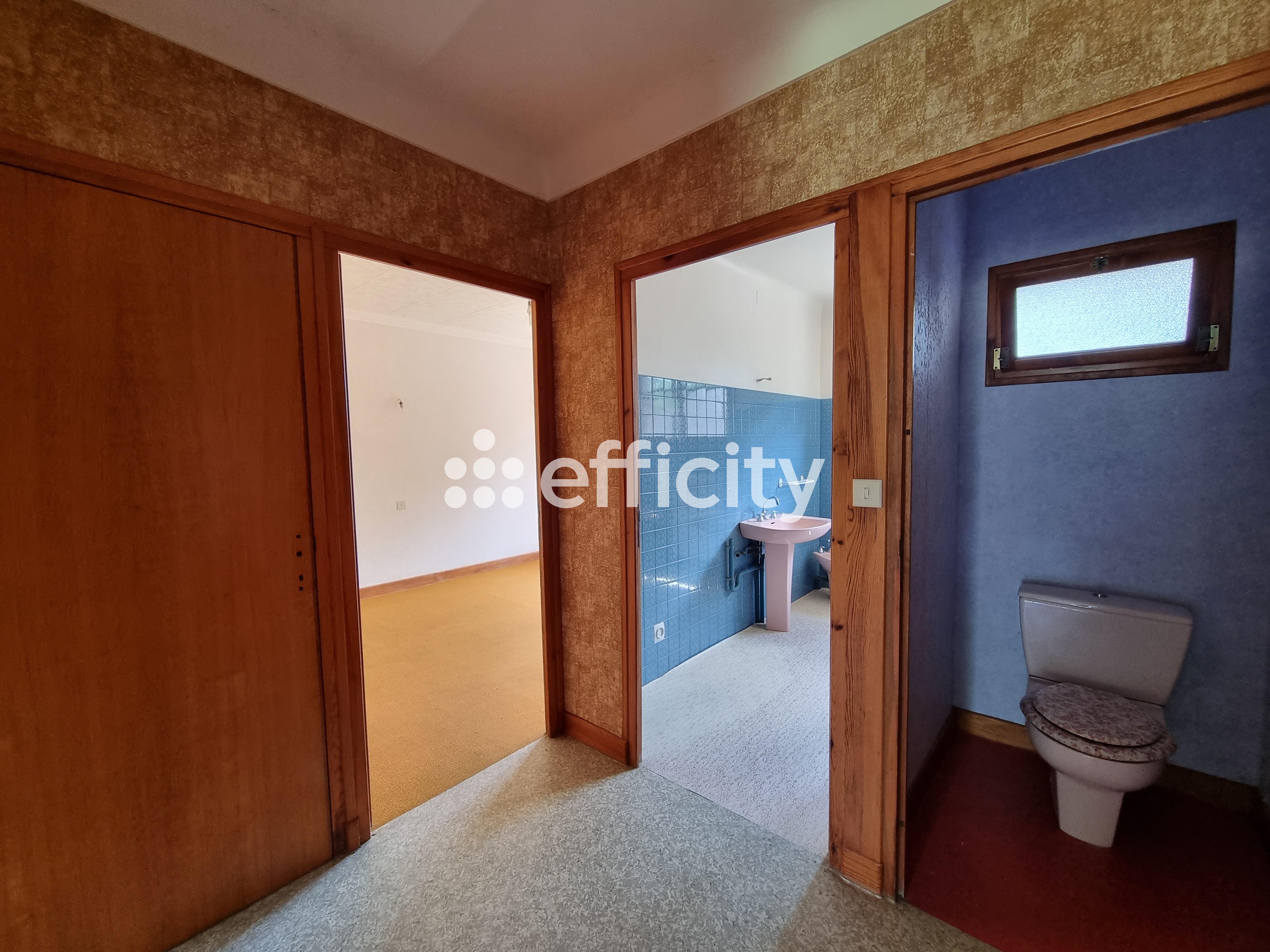 Achat immobilier Maison 15 pièces  350m2 à Le Malzieu-Ville (48140) - Photo n°42