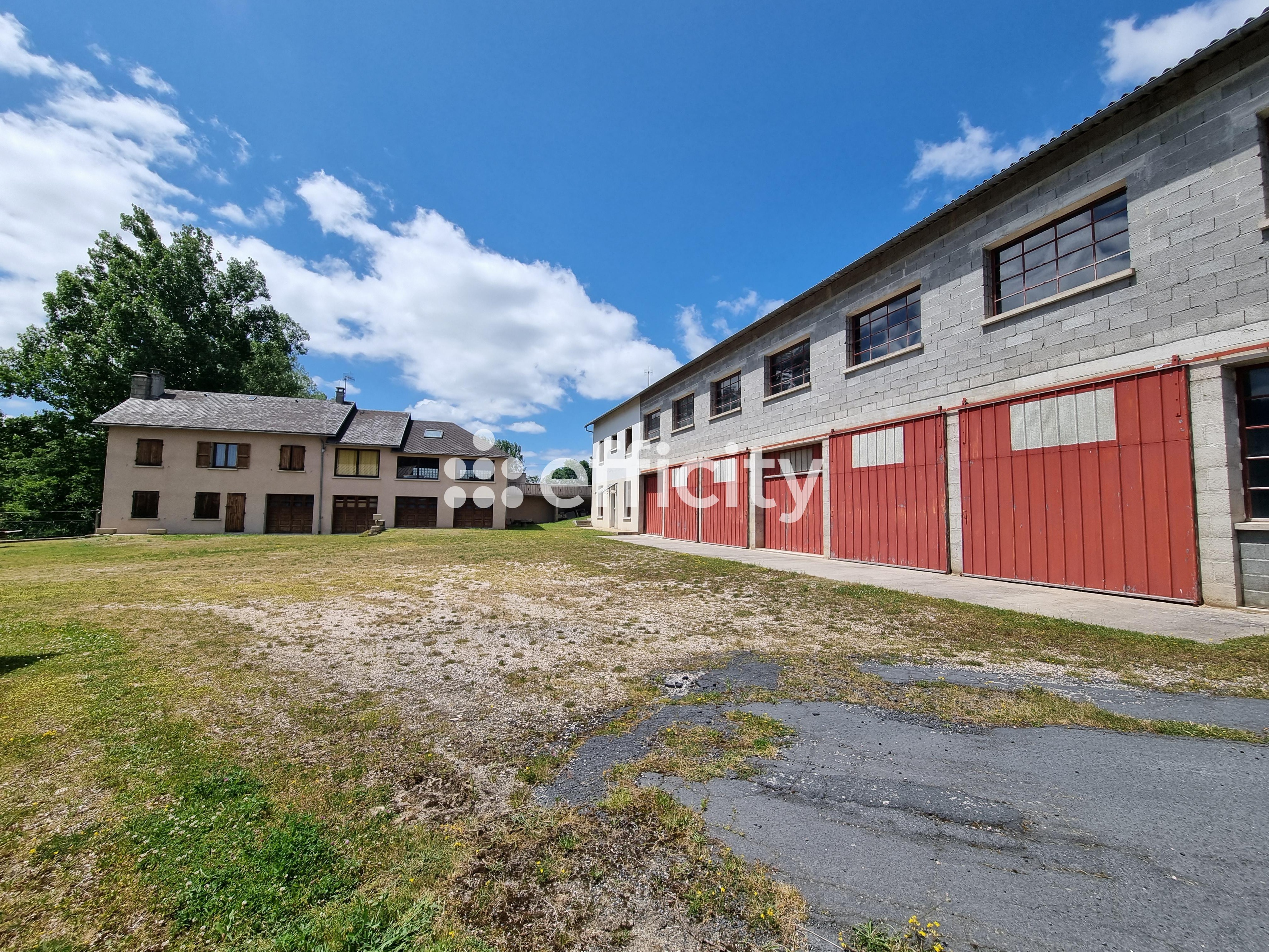 Achat immobilier Maison 15 pièces  350m2 à Le Malzieu-Ville (48140) - Photo n°6