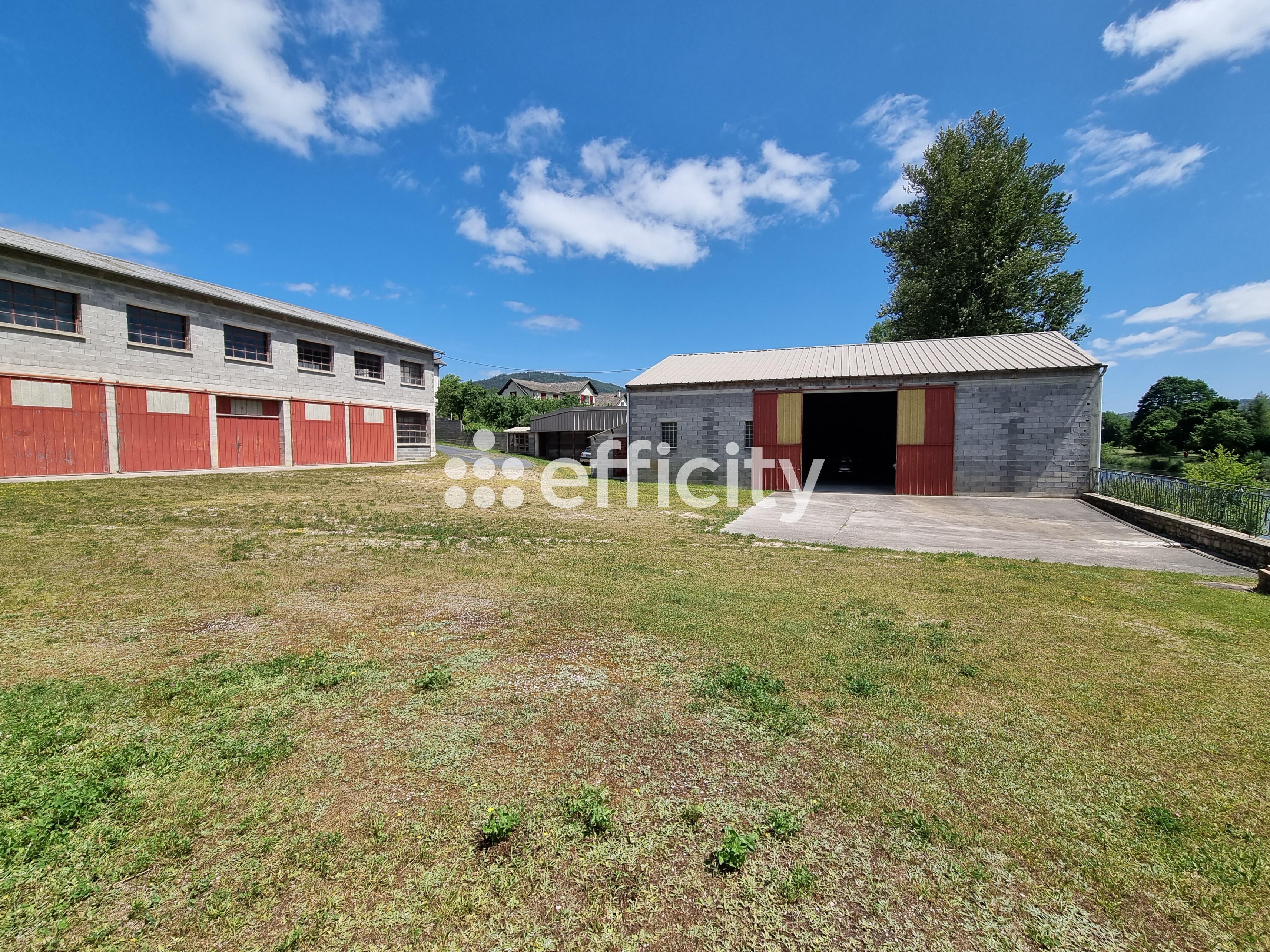 Achat immobilier Maison 15 pièces  350m2 à Le Malzieu-Ville (48140) - Photo n°8