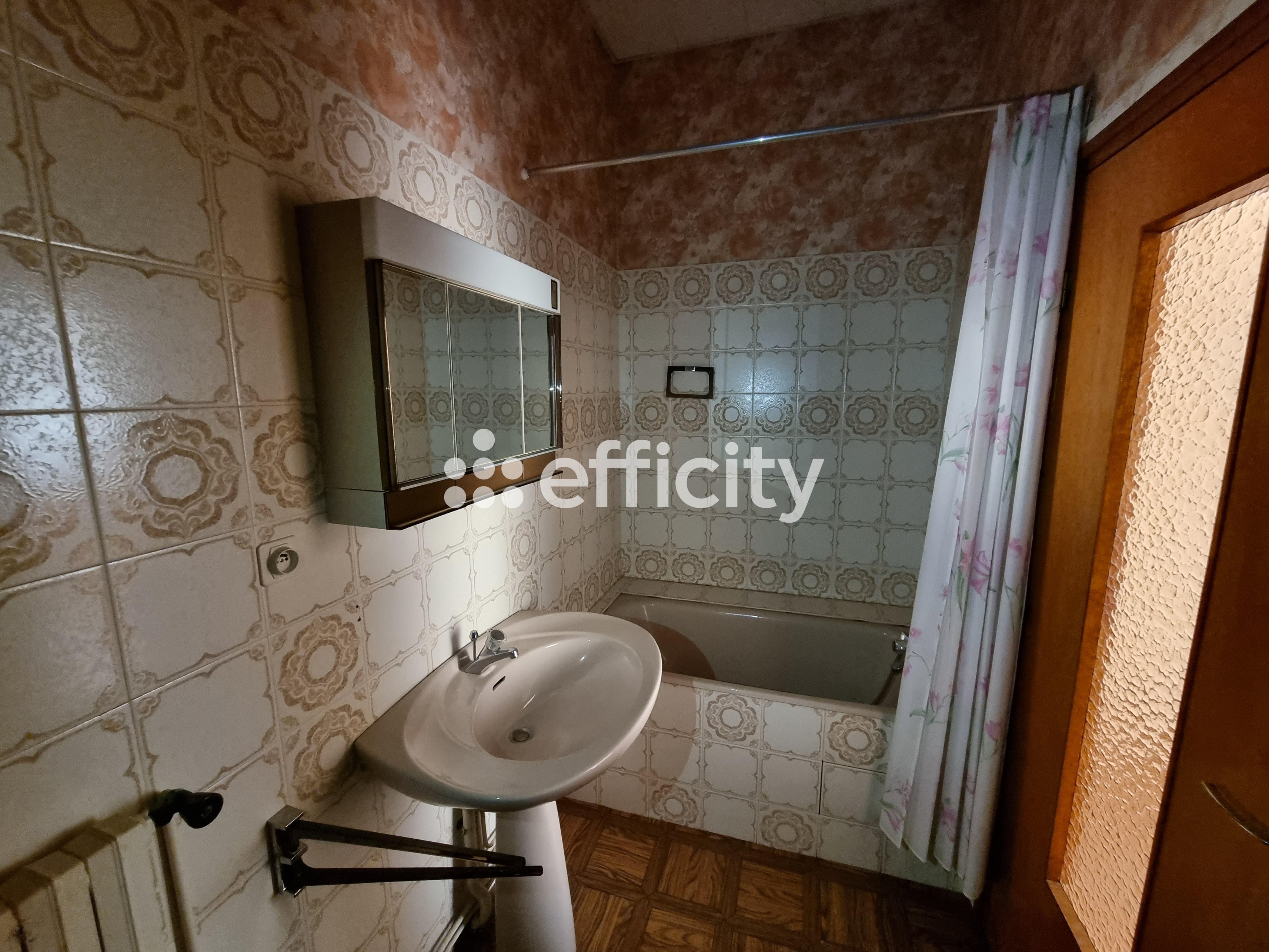 Achat immobilier Maison 15 pièces  350m2 à Le Malzieu-Ville (48140) - Photo n°44