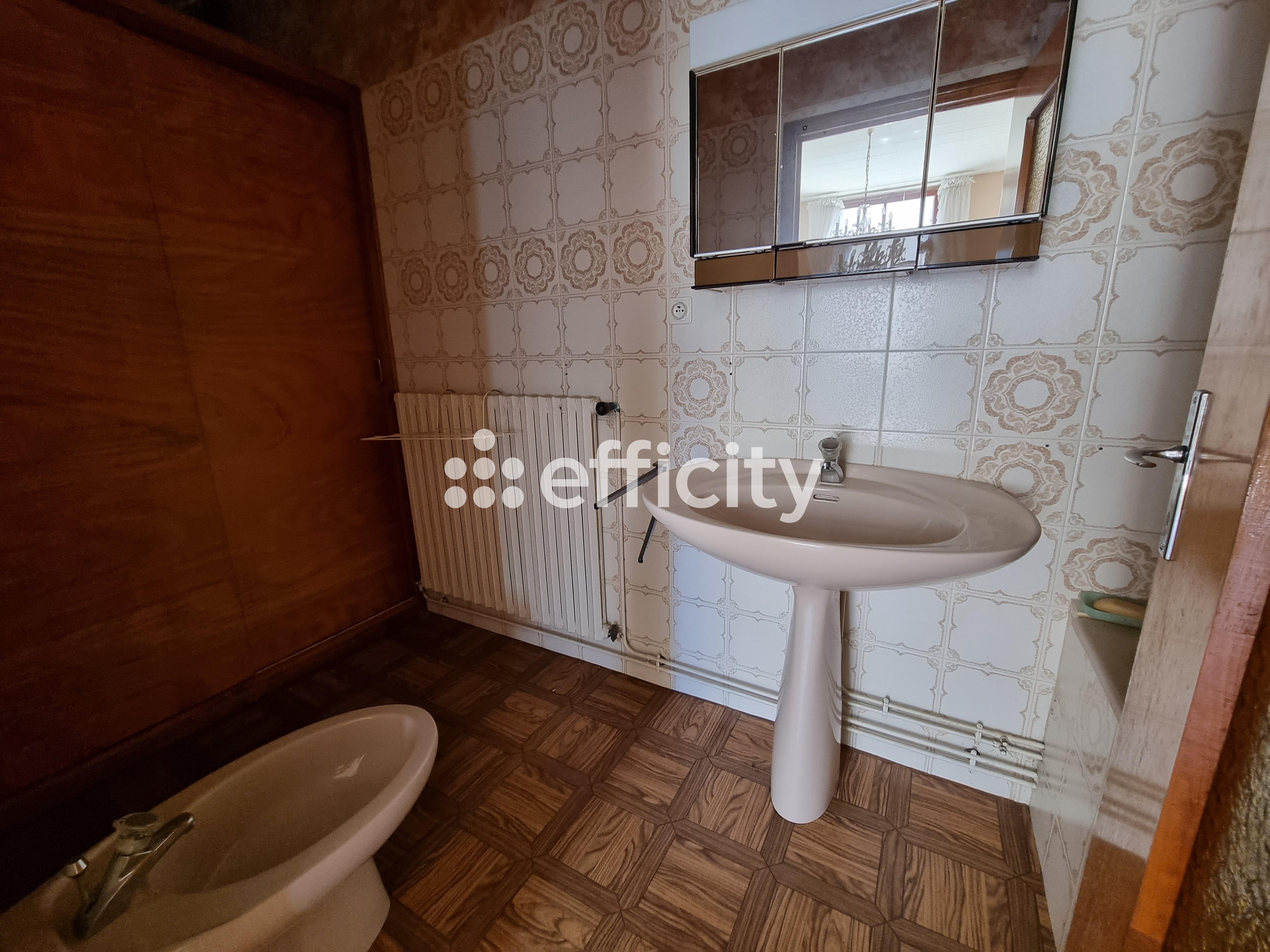 Achat immobilier Maison 15 pièces  350m2 à Le Malzieu-Ville (48140) - Photo n°45
