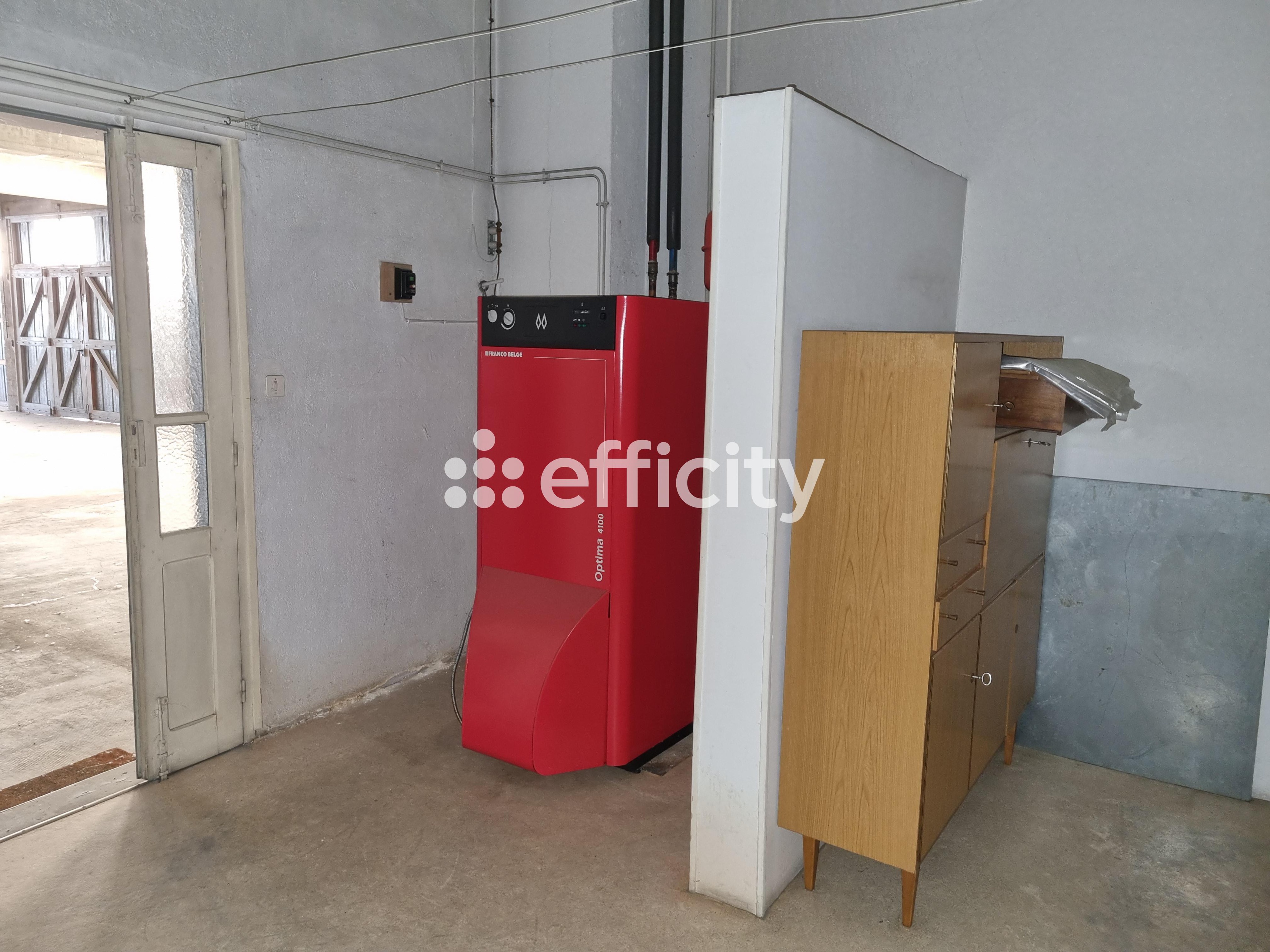 Achat immobilier Maison 15 pièces  350m2 à Le Malzieu-Ville (48140) - Photo n°47