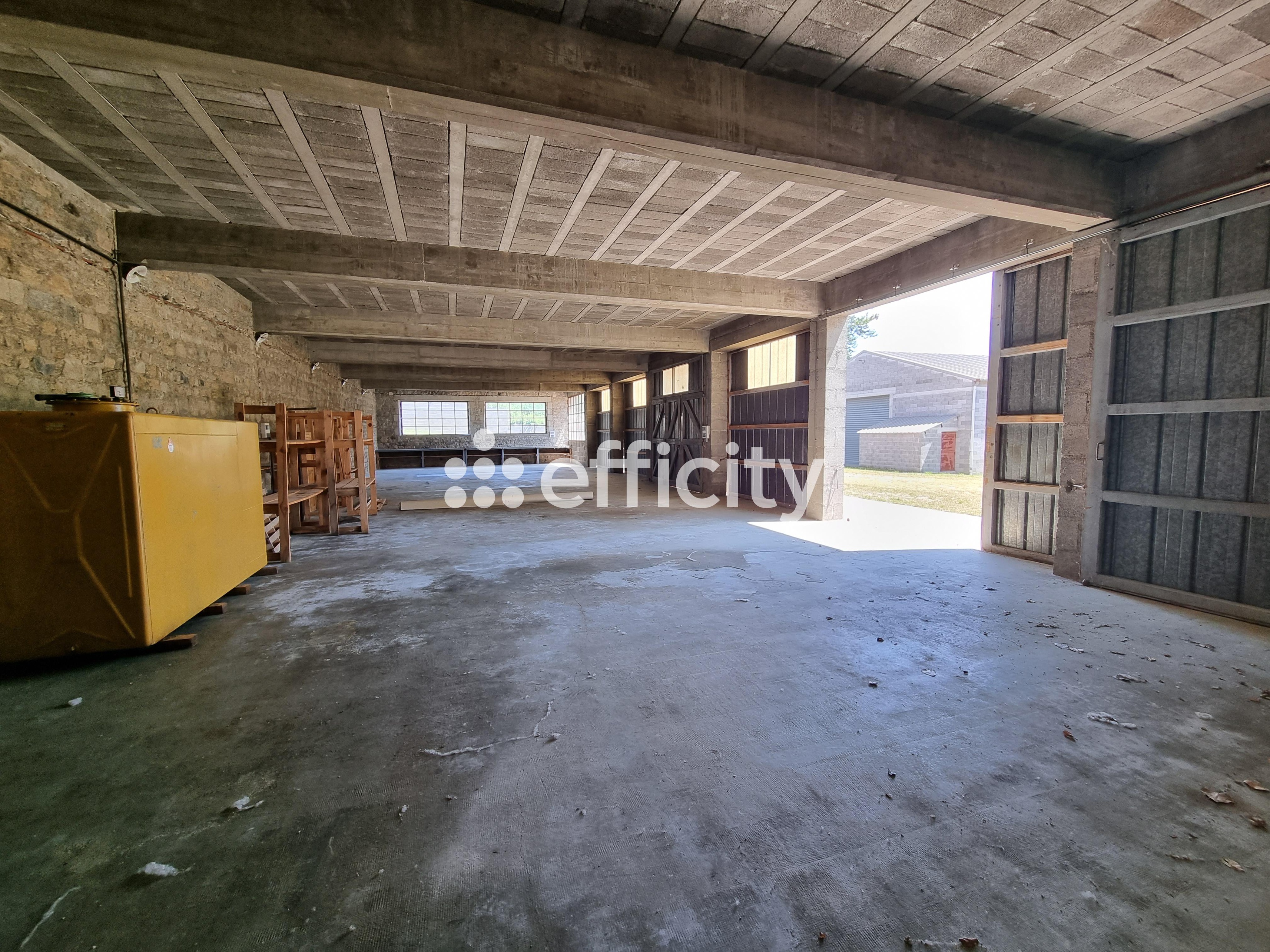 Achat immobilier Maison 15 pièces  350m2 à Le Malzieu-Ville (48140) - Photo n°32