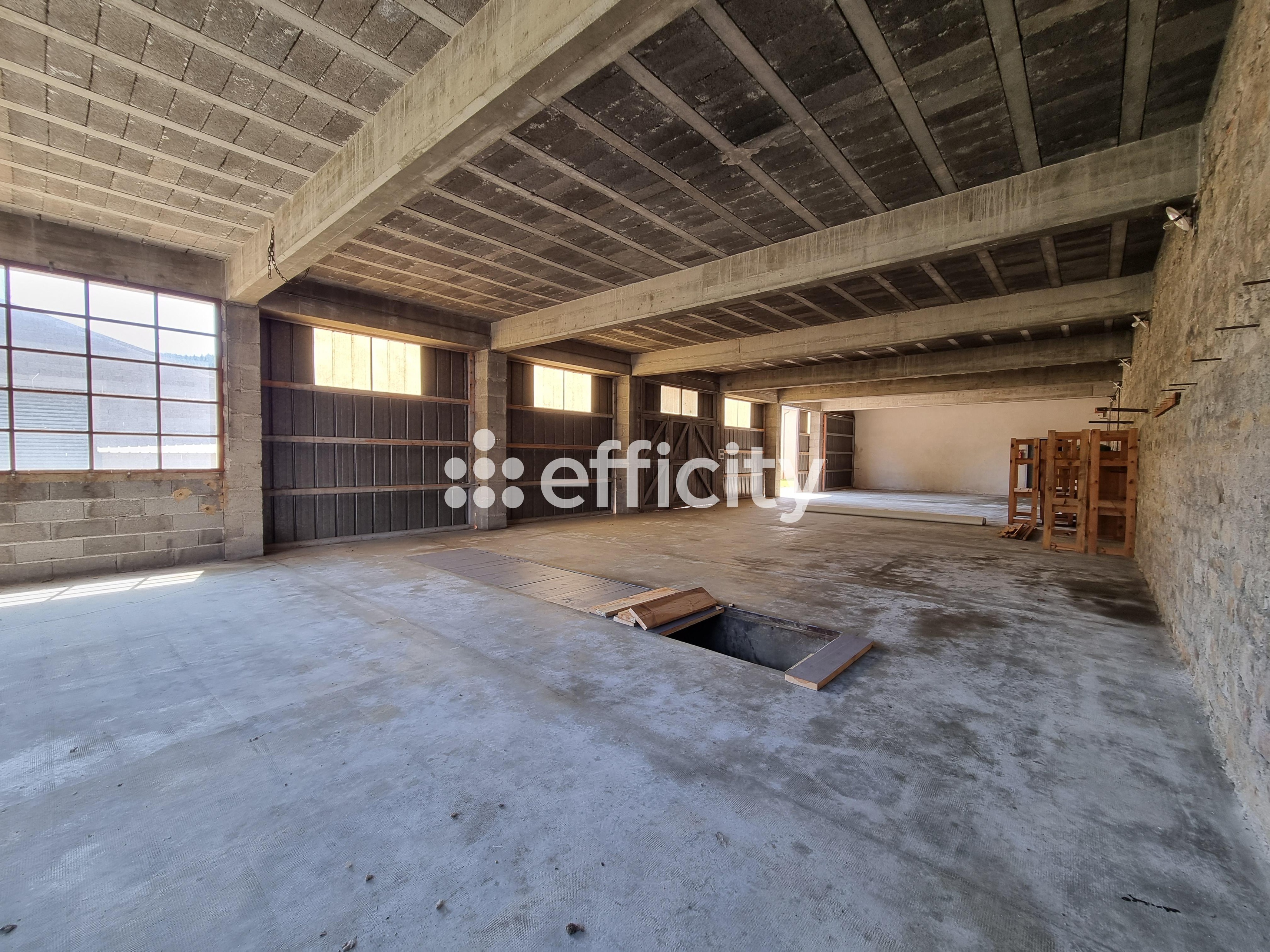 Achat immobilier Maison 15 pièces  350m2 à Le Malzieu-Ville (48140) - Photo n°33