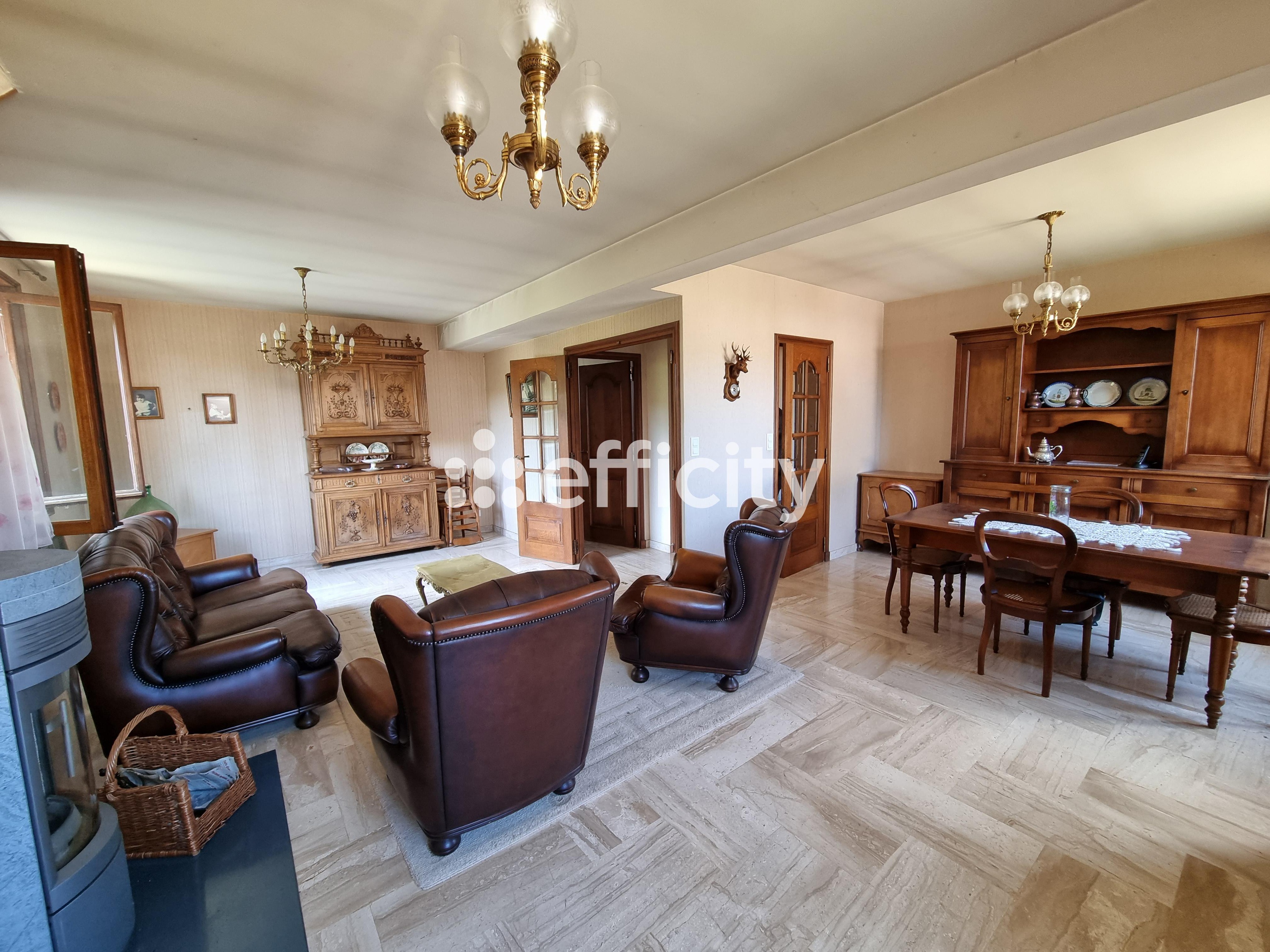 Achat immobilier Maison 15 pièces  350m2 à Le Malzieu-Ville (48140) - Photo n°13