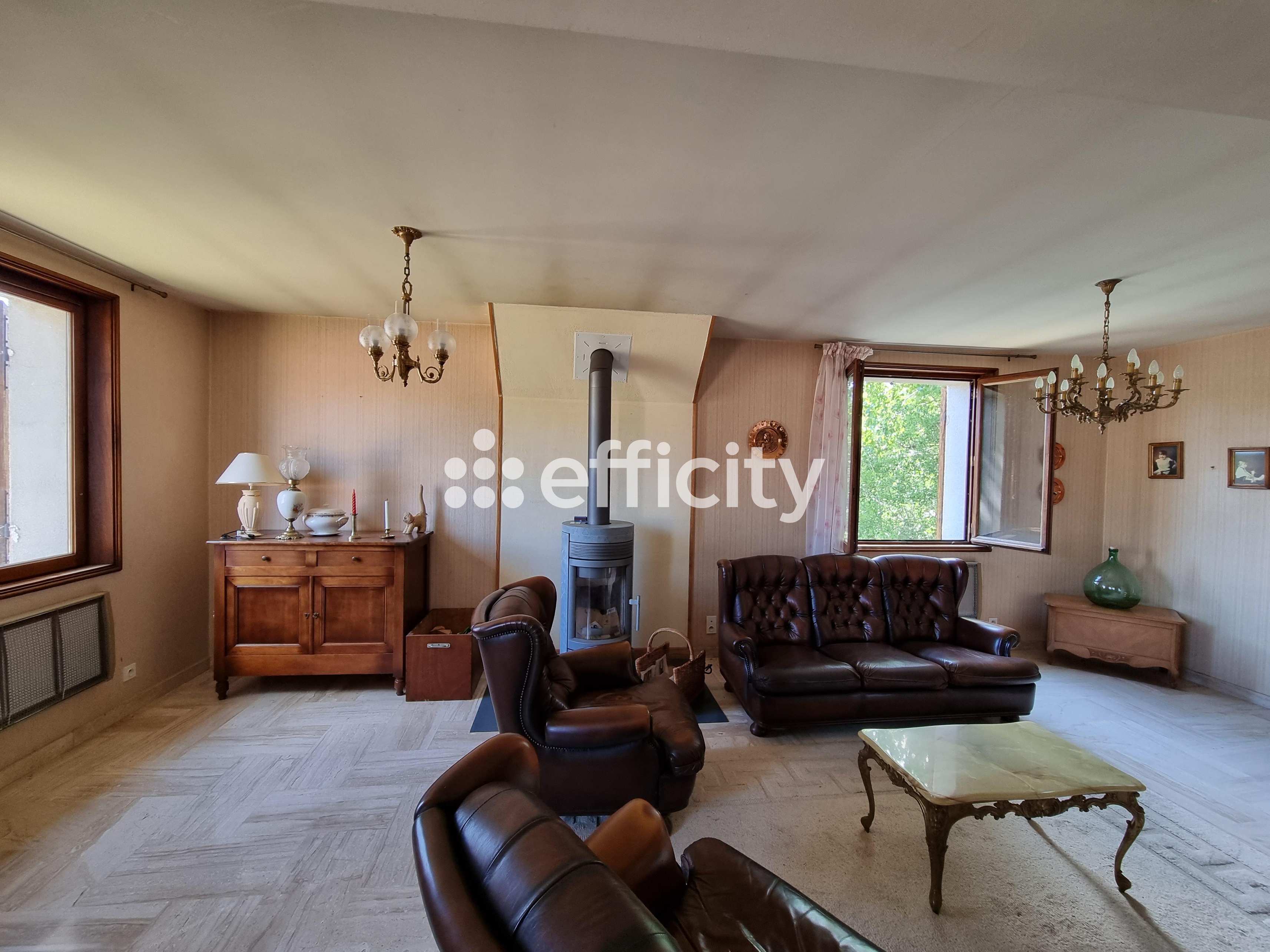Achat immobilier Maison 15 pièces  350m2 à Le Malzieu-Ville (48140) - Photo n°14