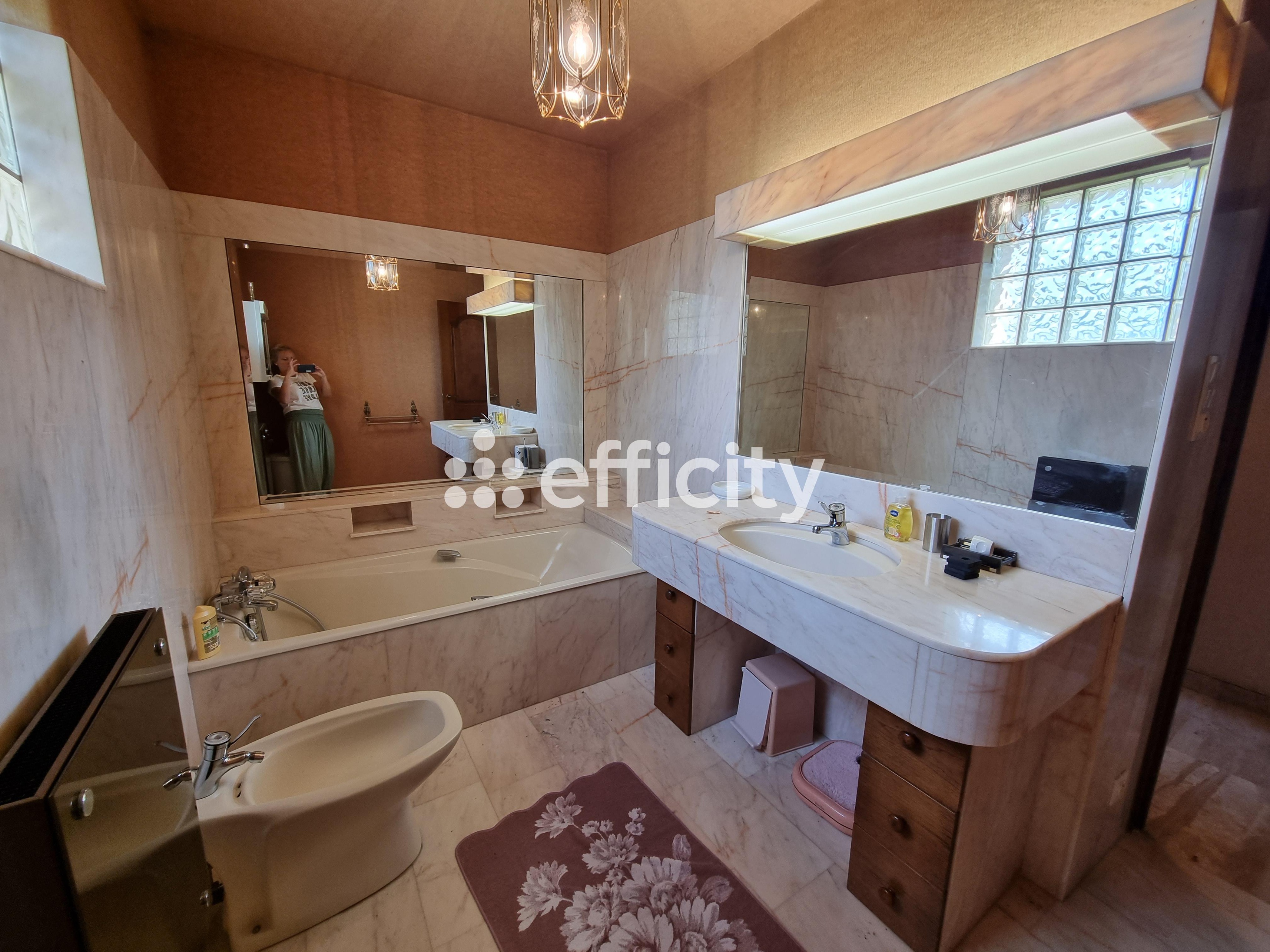 Achat immobilier Maison 15 pièces  350m2 à Le Malzieu-Ville (48140) - Photo n°15