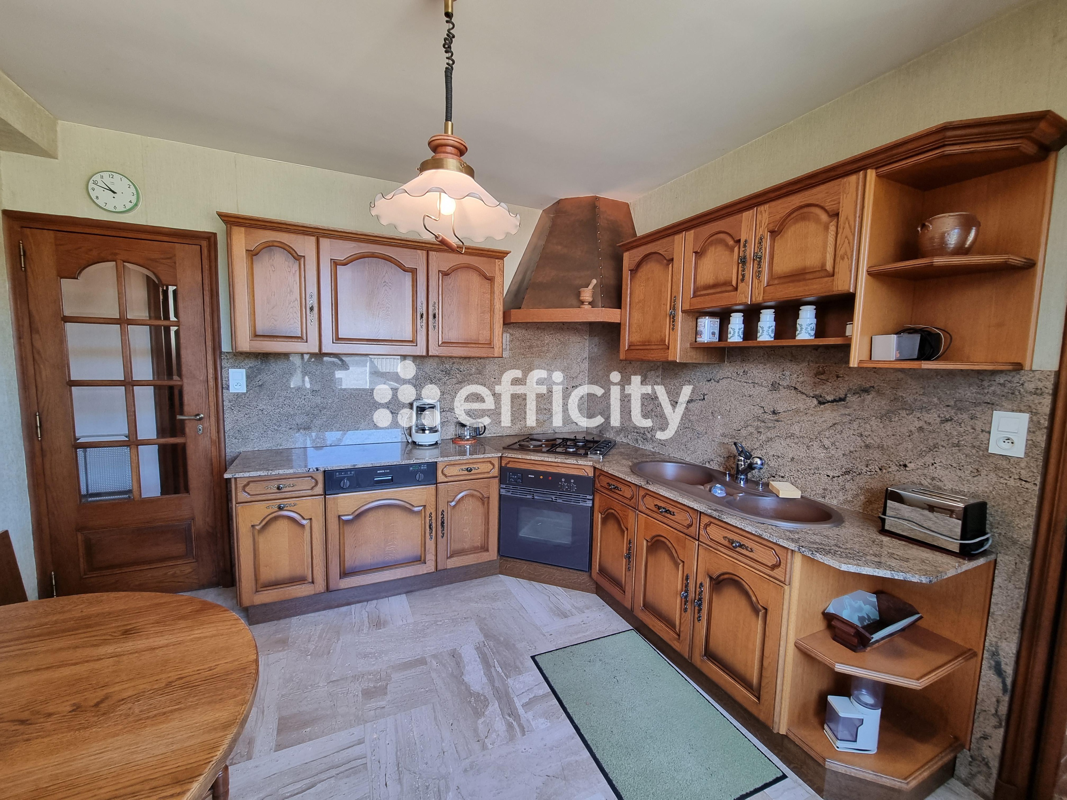 Achat immobilier Maison 15 pièces  350m2 à Le Malzieu-Ville (48140) - Photo n°16