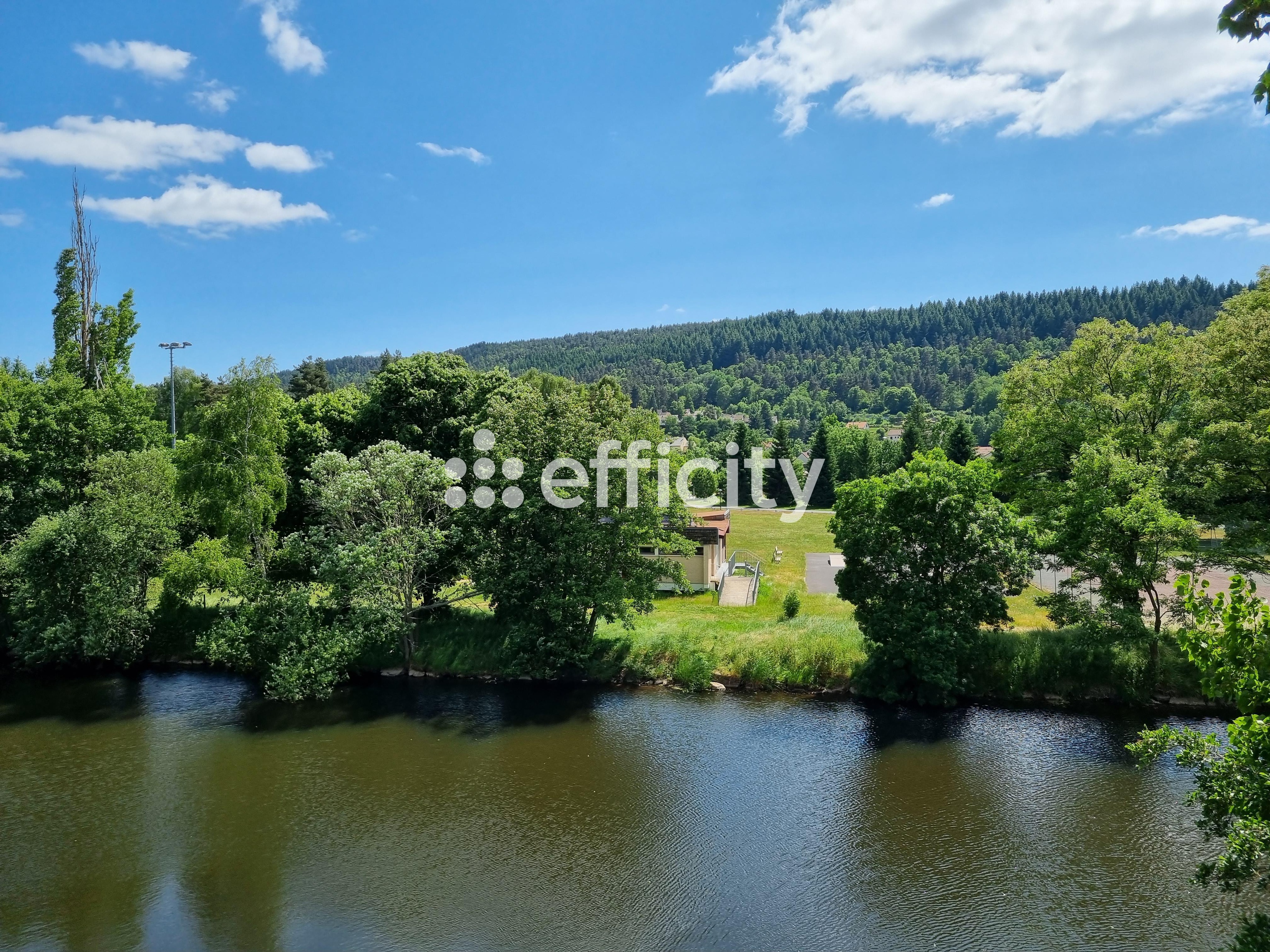 Achat immobilier Maison 15 pièces  350m2 à Le Malzieu-Ville (48140) - Photo n°24