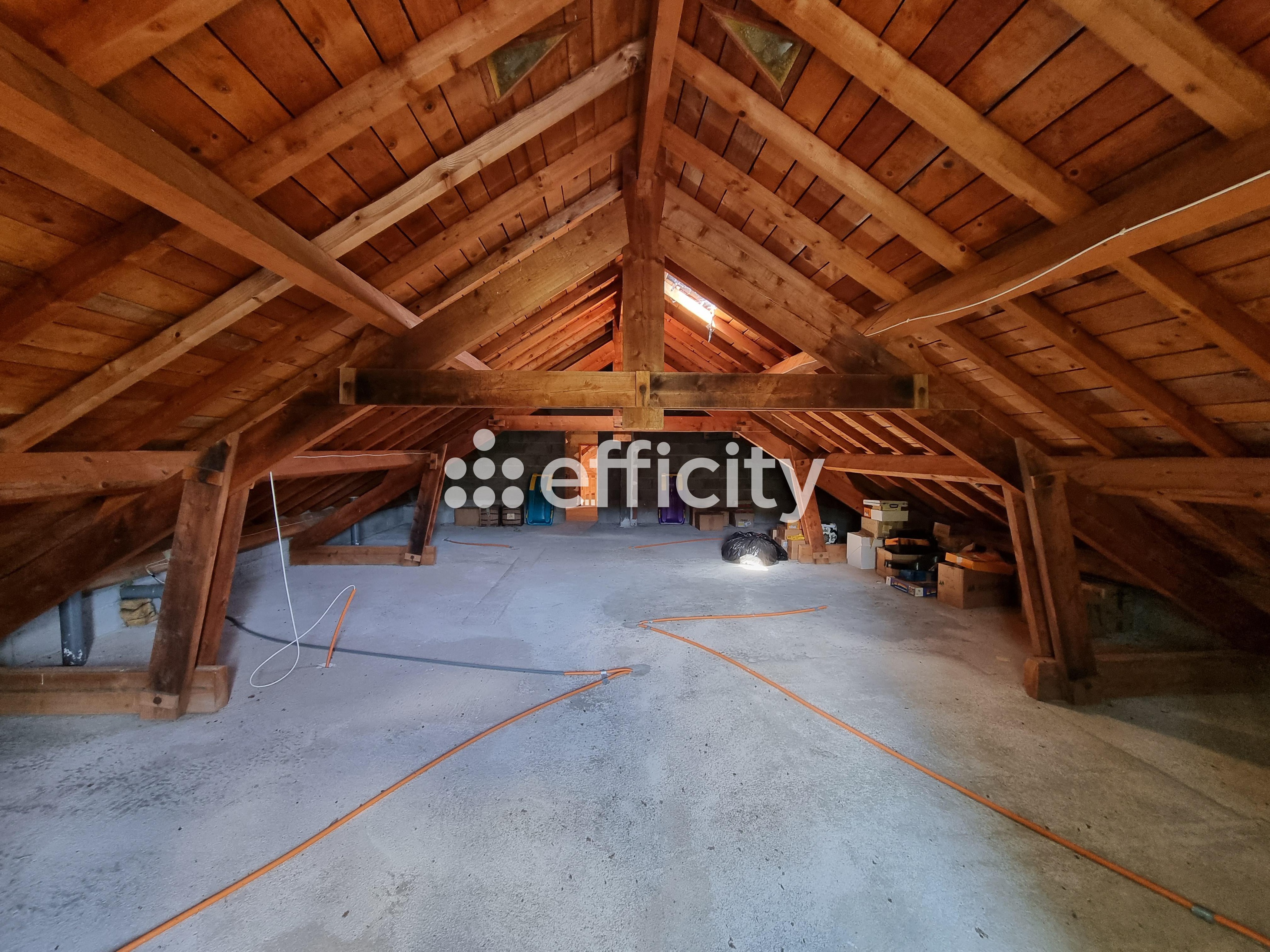 Achat immobilier Maison 15 pièces  350m2 à Le Malzieu-Ville (48140) - Photo n°25