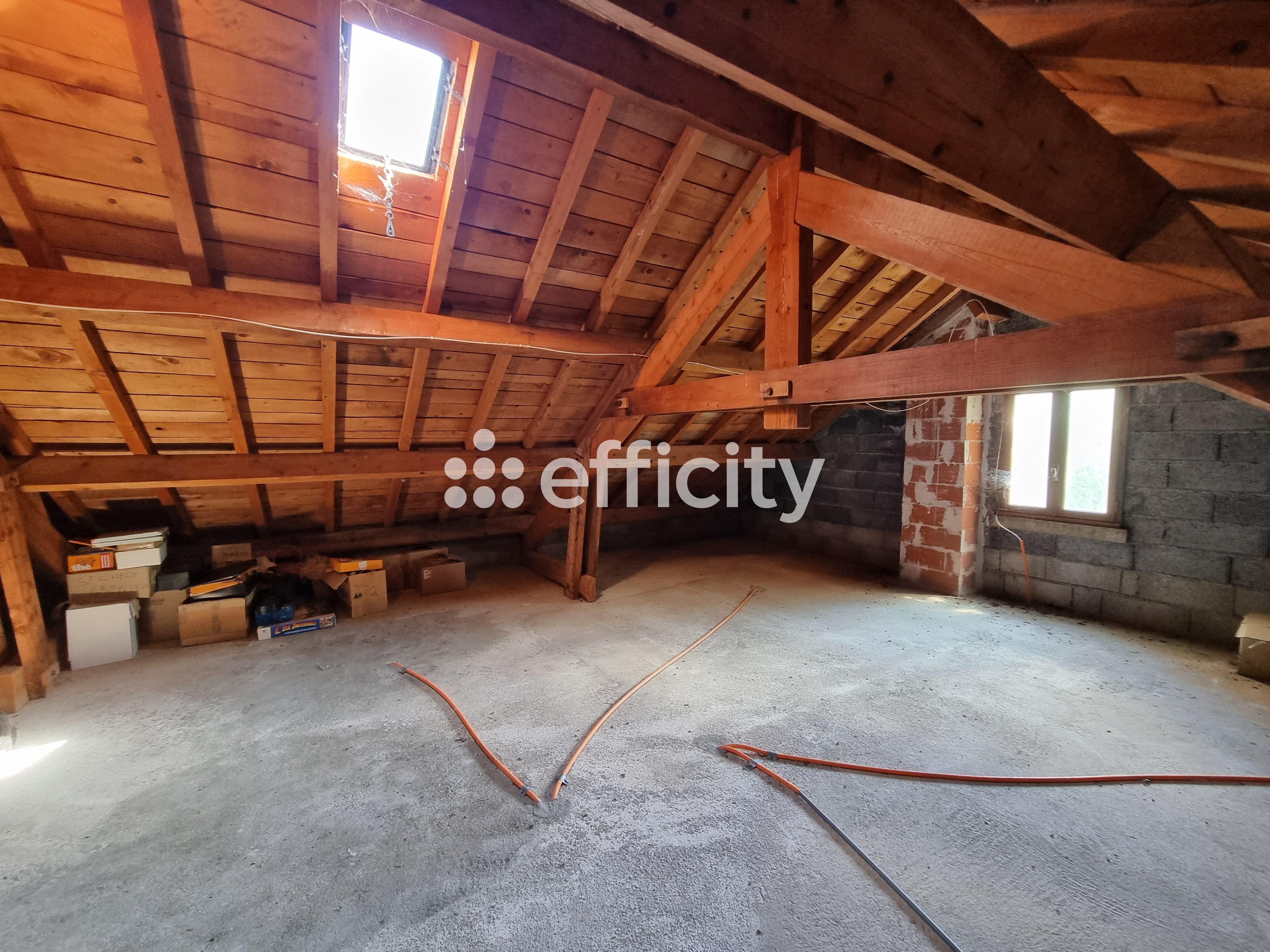 Achat immobilier Maison 15 pièces  350m2 à Le Malzieu-Ville (48140) - Photo n°26