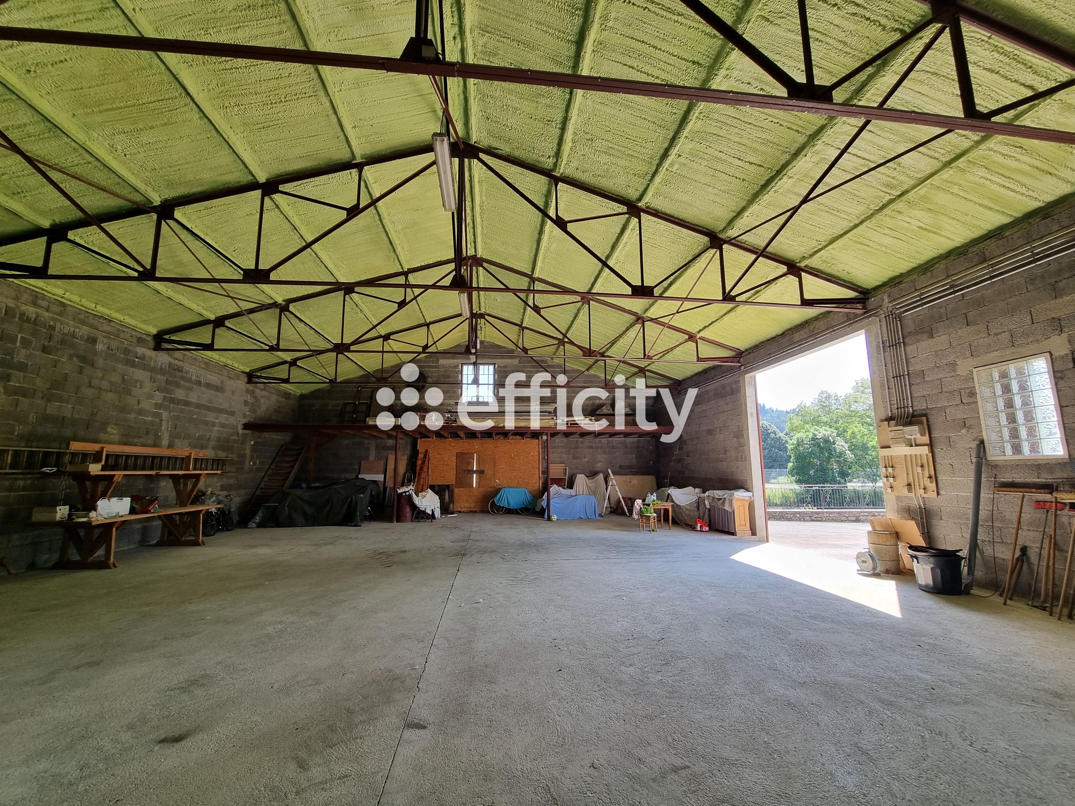 Achat immobilier Maison 15 pièces  350m2 à Le Malzieu-Ville (48140) - Photo n°27