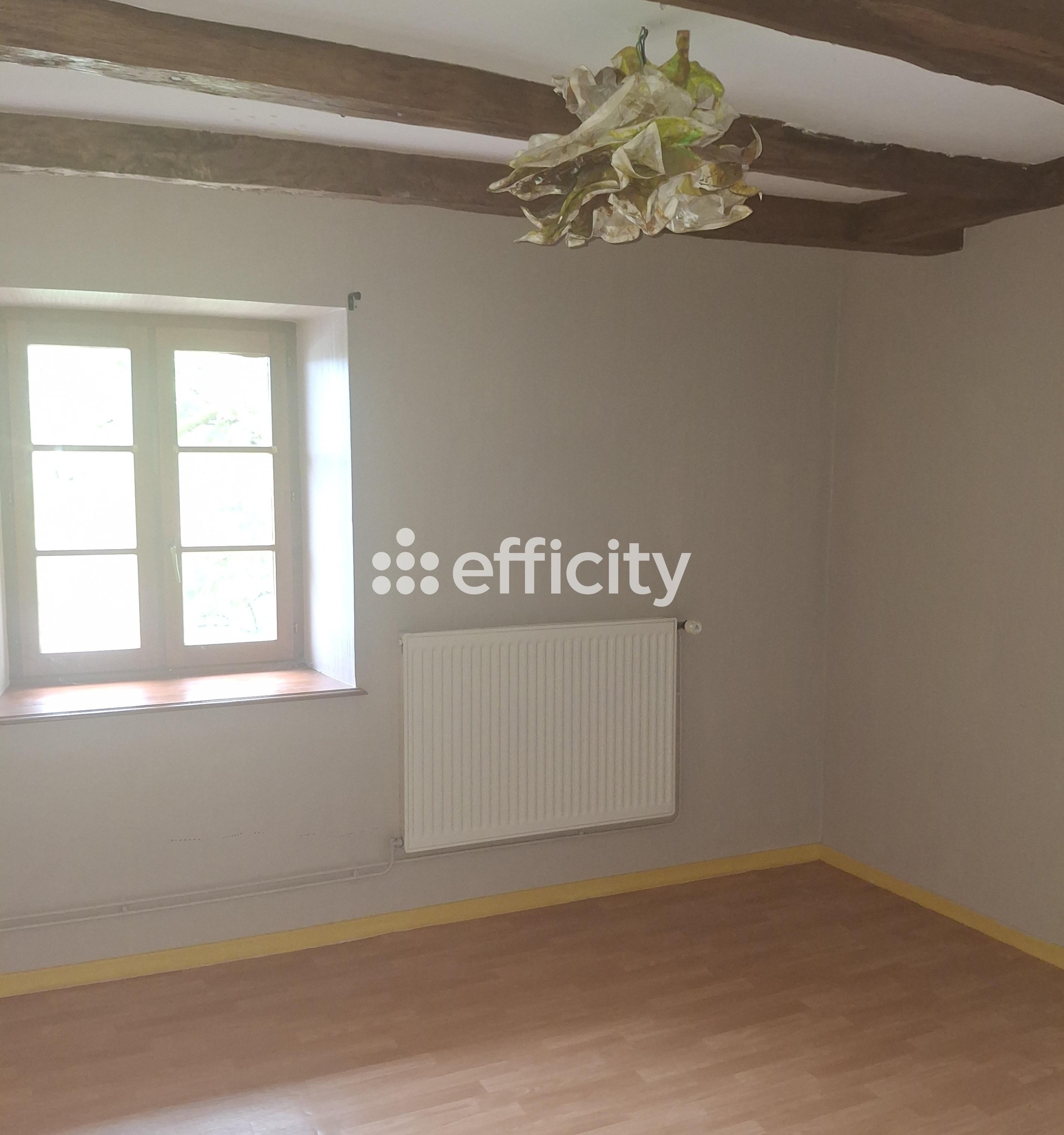 Achat immobilier Maison 7 pièces  171m2 à Filain (70230) - Photo n°5